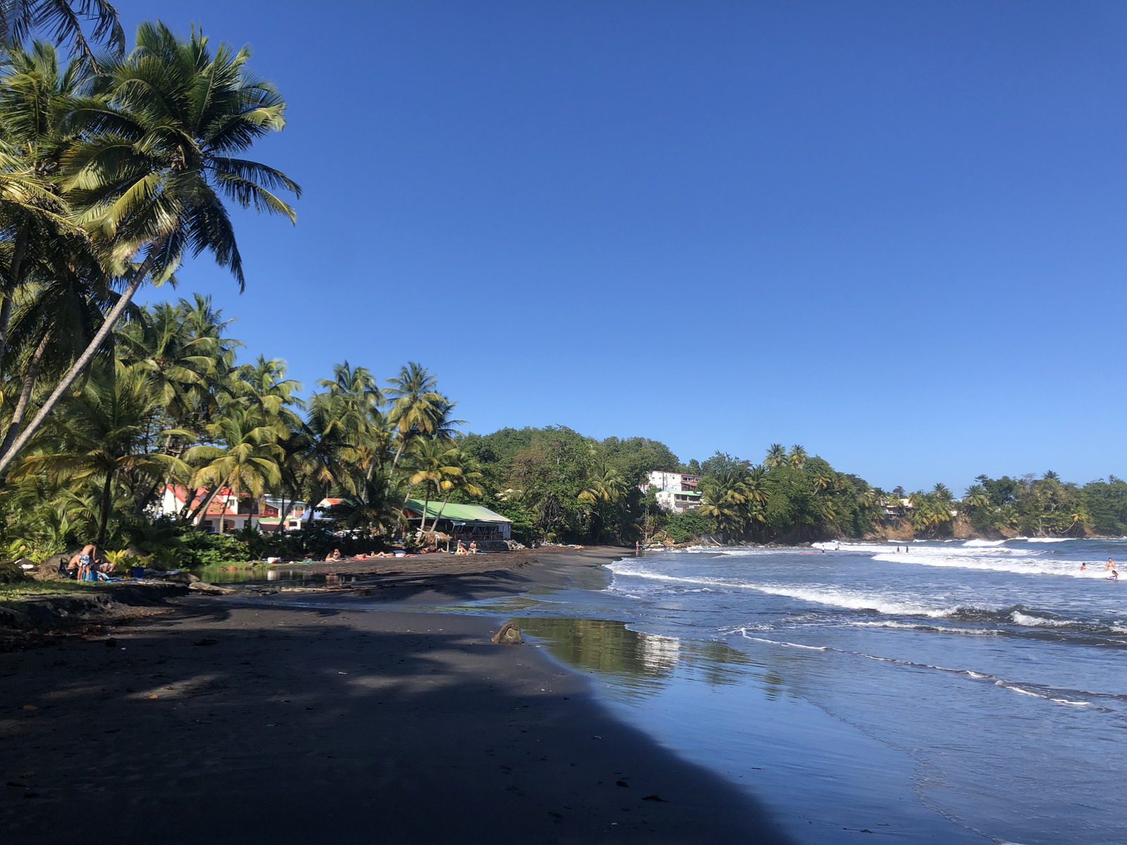 รูปถ่าย กวาเดอลูป(Guadeloupe) บานาเนีย(Bananier) 2021-02 13