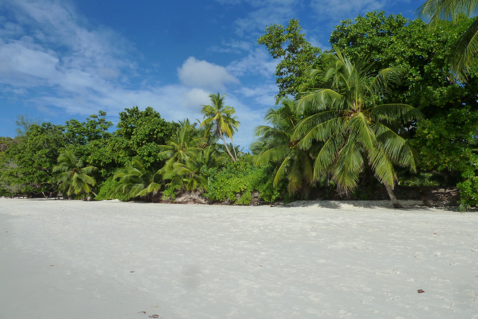 รูปถ่าย เซเชลส์(Seychelles) อ่าวอ็องส์ลาซิโอ(Anse Lazio) 2011-10 55