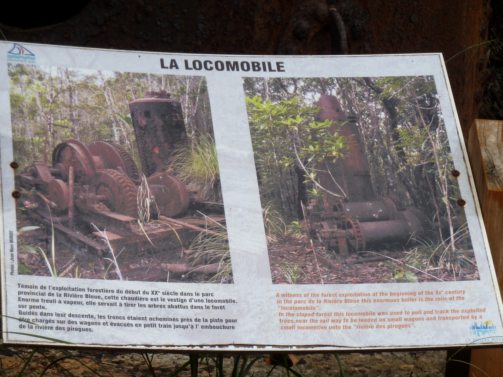 รูปถ่าย นิวแคลิโดเนีย(New Caledonia) อุทยานริเวียร์เบลอ(Parc de la Riviere Bleue) 2010-05 77
