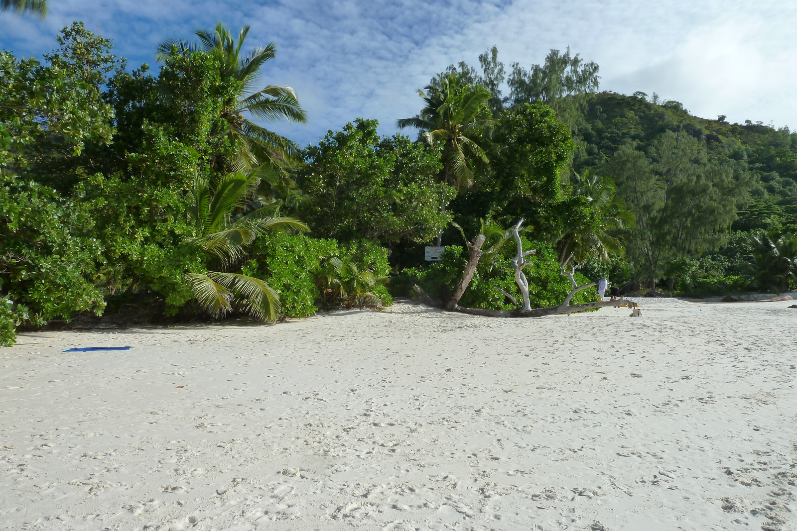 รูปถ่าย เซเชลส์(Seychelles) อ่าวอ็องส์ลาซิโอ(Anse Lazio) 2011-10 72