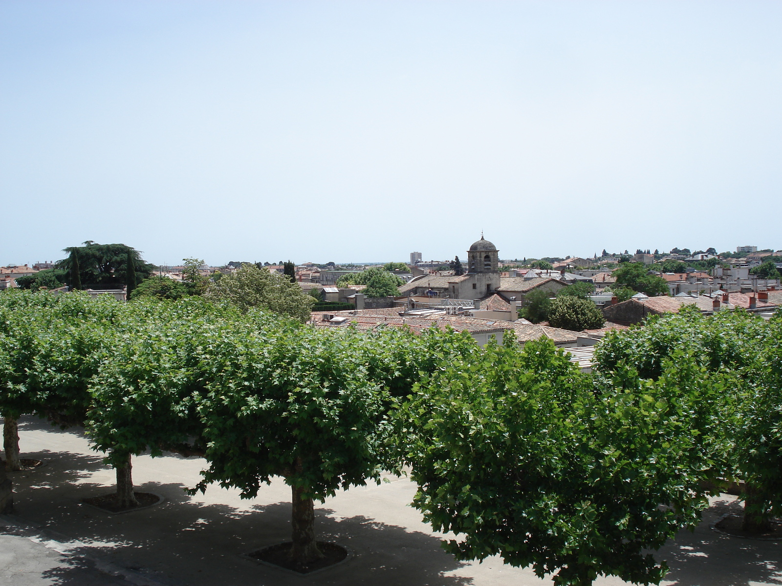 รูปถ่าย ฝรั่งเศส(France) มงเปลลีเยร์(Montpellier) 2006-06 66