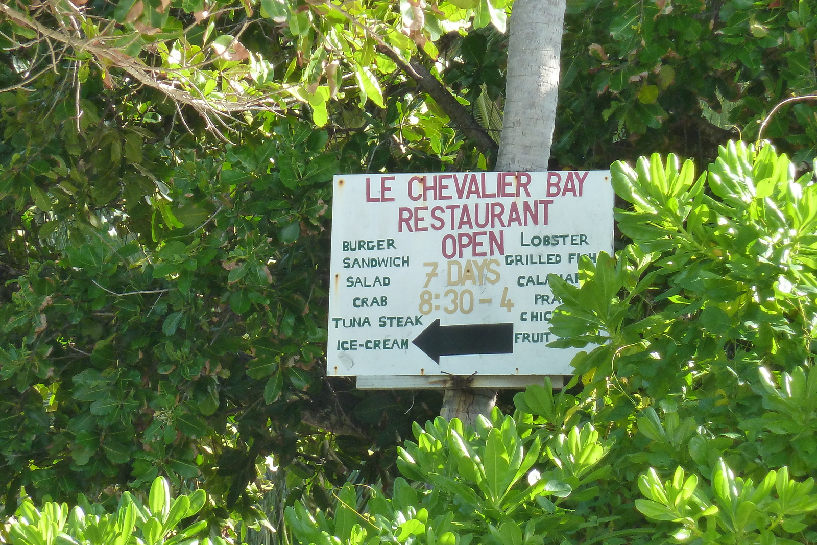 รูปถ่าย เซเชลส์(Seychelles) อ่าวอ็องส์ลาซิโอ(Anse Lazio) 2011-10 46