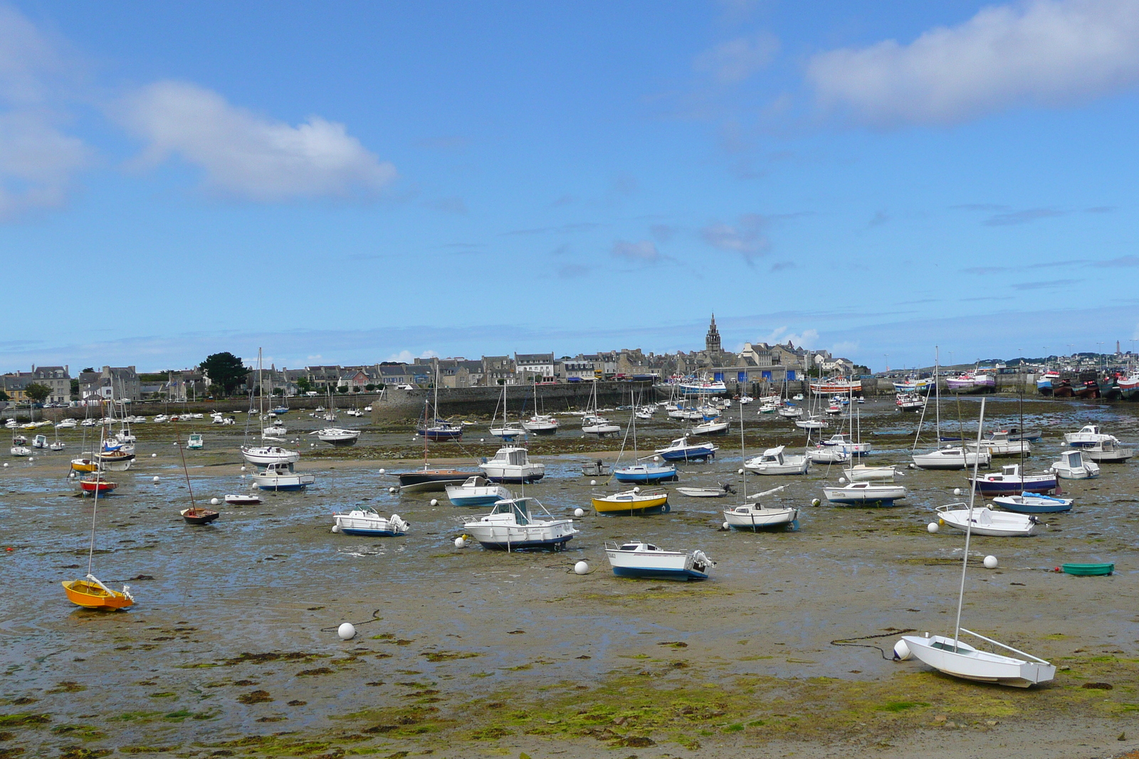 รูปถ่าย ฝรั่งเศส(France) โรสคอฟ(Roscoff) 2007-08 64