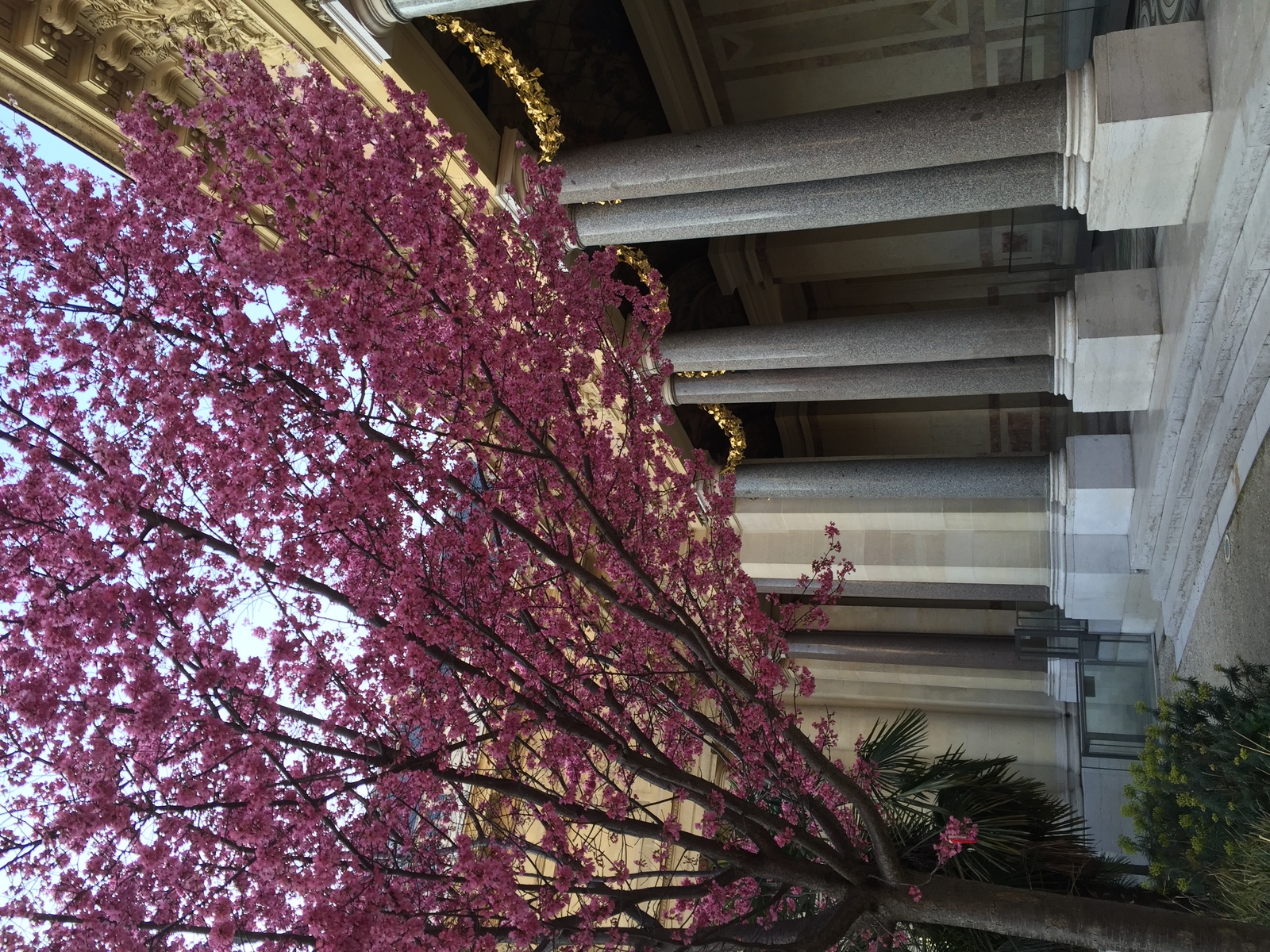 รูปถ่าย ฝรั่งเศส(France) ปารีส(Paris) ปตีปาเล(Petit Palais) 2016-03 6