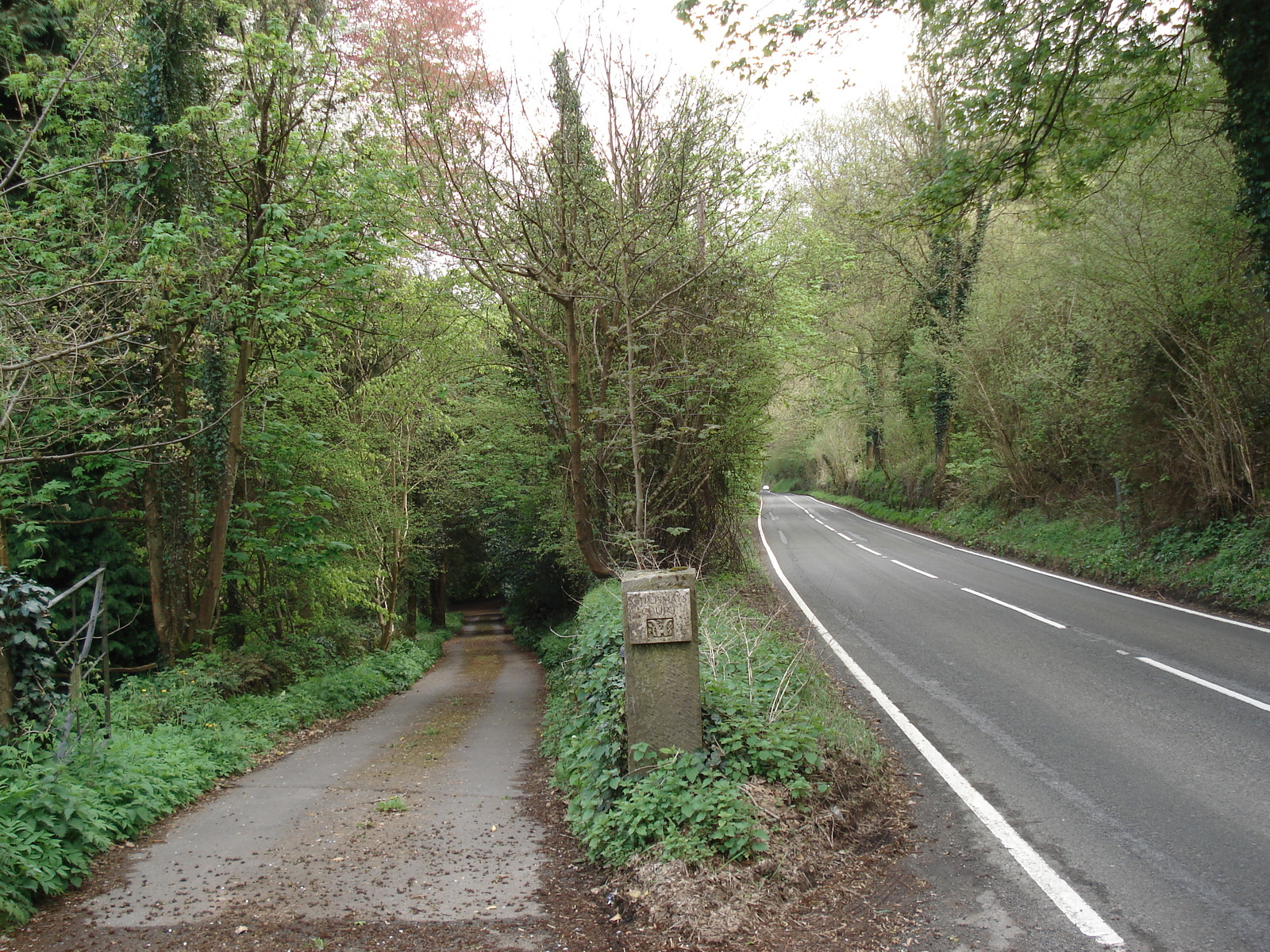 รูปถ่าย อังกฤษ(United Kingdom) หุบเขาไวย์(Wye Valley) 2006-05 41
