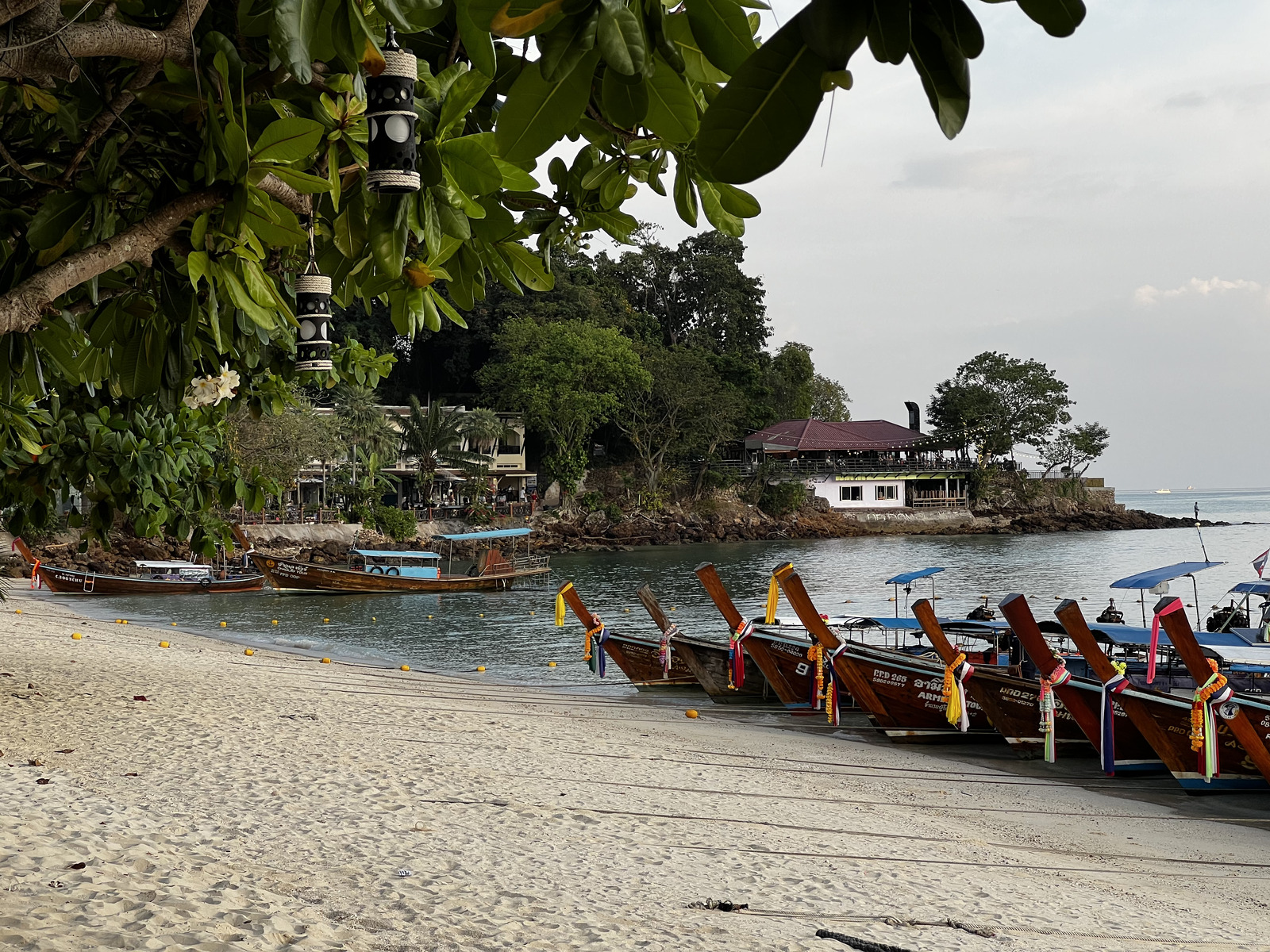 รูปถ่าย ไทย(Thailand) เกาะพีพีดอน(Ko Phi Phi Don) 2021-12 114