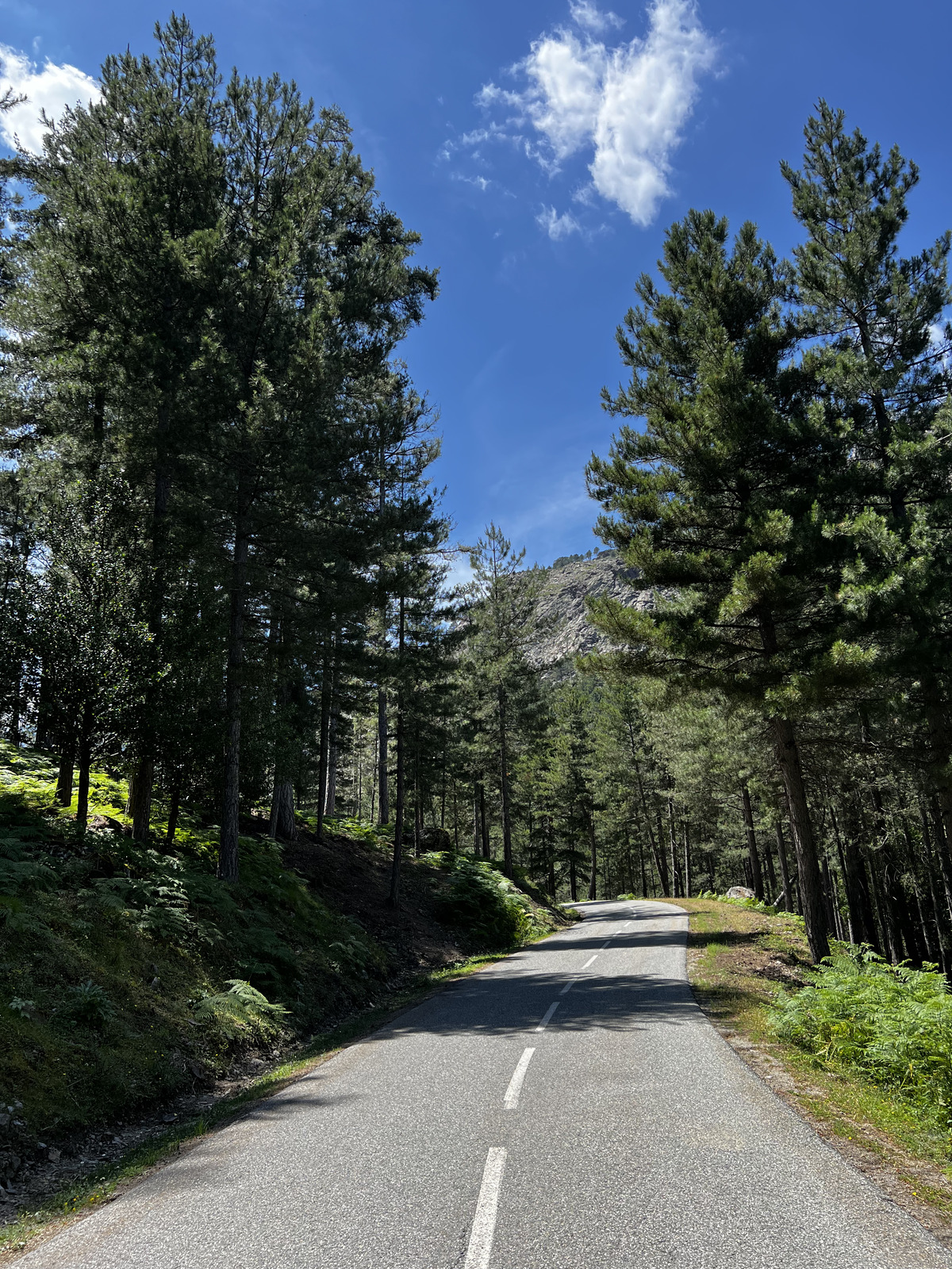 รูปถ่าย ฝรั่งเศส(France) คอร์สิคา(Corsica) อัสโก(Asco) 2023-06 28