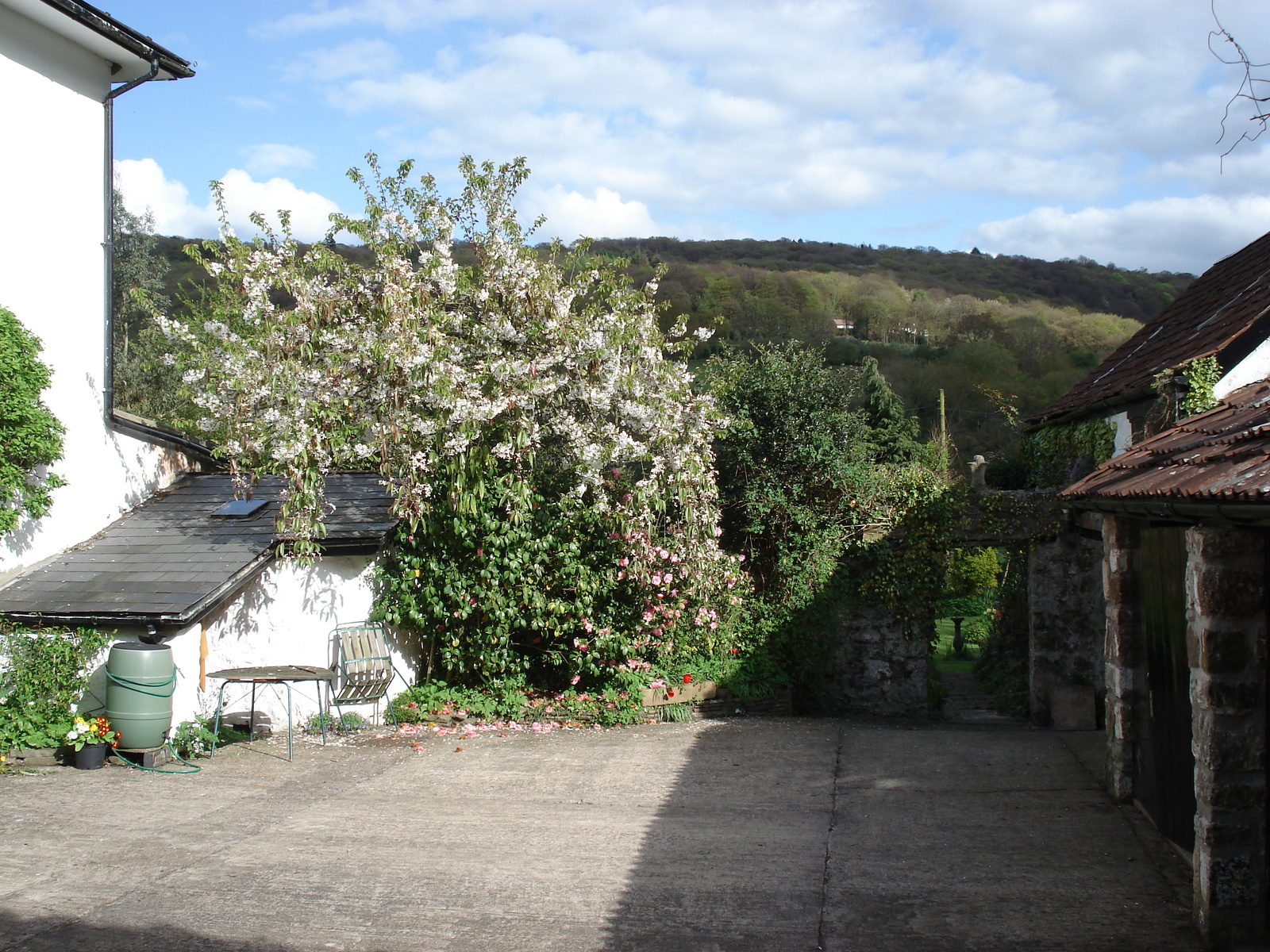 รูปถ่าย อังกฤษ(United Kingdom) หุบเขาไวย์(Wye Valley) 2006-05 48