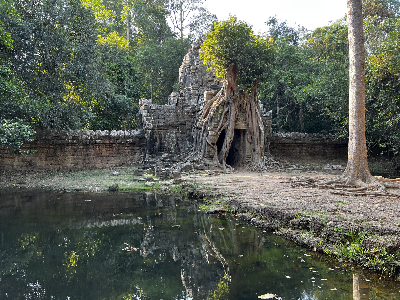 รูปถ่าย กัมพูชา(Cambodia) เสียมราฐ(Siem Reap) ปราสาทตาสม(Ta Som) 2023-01 46