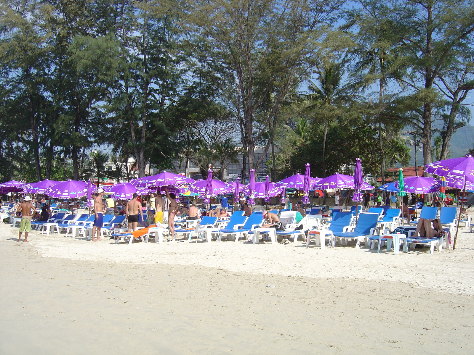รูปถ่าย ไทย(Thailand) ภูเก็ต(Phuket) ป่าตอง(Patong) หาดทราย(Beach) 2005-12 44
