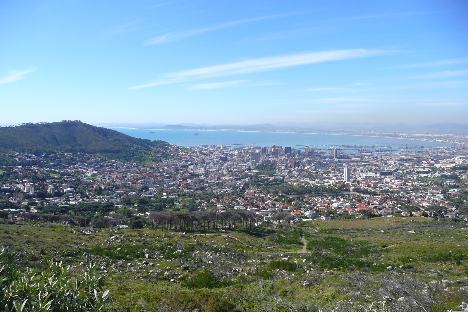 รูปถ่าย แอฟริกาใต้(South Africa) เคปทาวน์(Cape Town) ภูเขาเทเบิล(Table Mountain) 2008-09 75