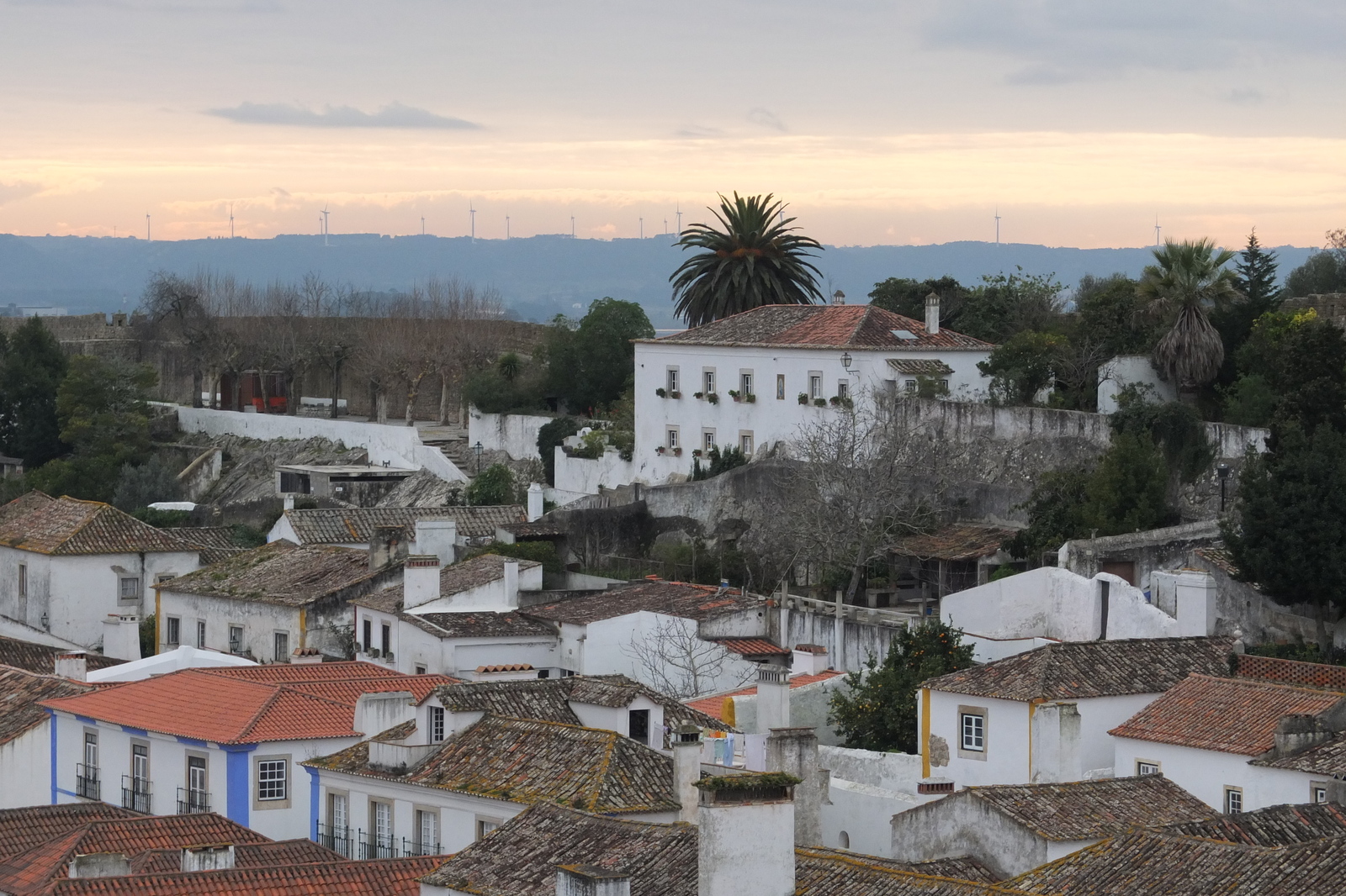 รูปถ่าย โปรตุเกส(Portugal) โอบีโดส(Obidos) 2013-01 50