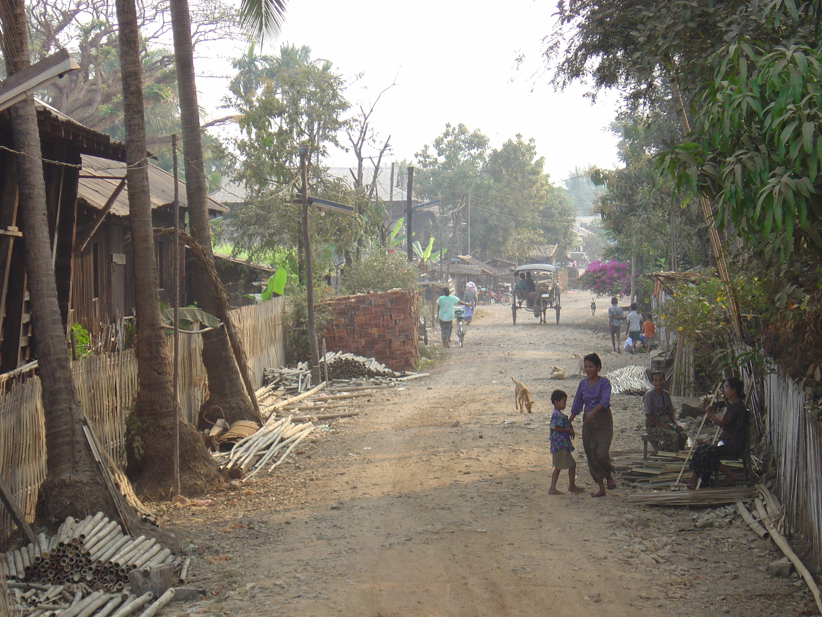 รูปถ่าย พม่า(Myanmar) ทวาย(Dawei (TAVOY)) 2005-01 113