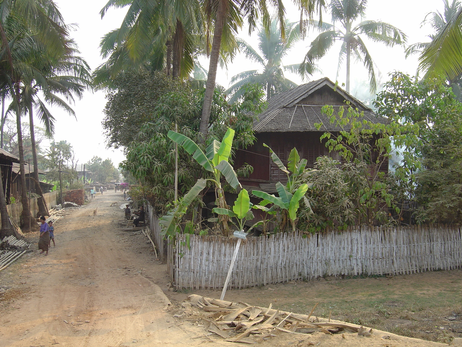 รูปถ่าย พม่า(Myanmar) ทวาย(Dawei (TAVOY)) 2005-01 109