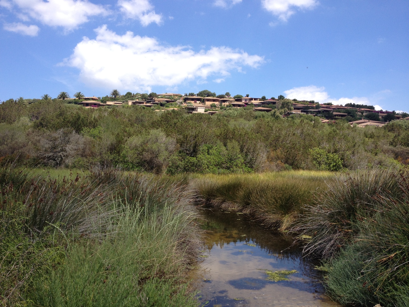 รูปถ่าย อิตาลี(Italy) ซาร์ดิเนีย(Sardinia) กอสตาสเมรัลดา(Costa Smeralda) 2015-06 44