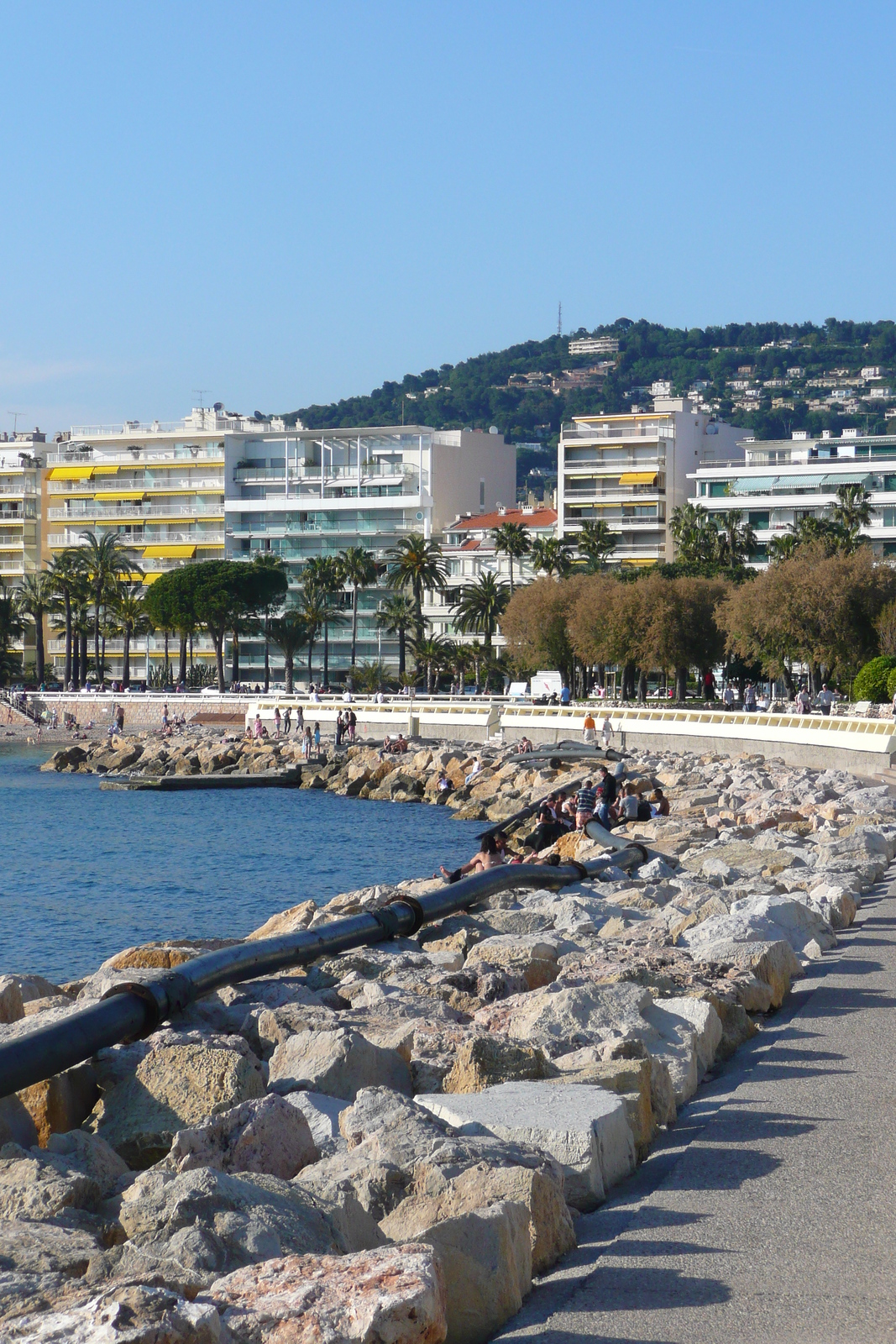 รูปถ่าย ฝรั่งเศส(France) คานส์(Cannes) ท่าเรือปีแยร์ก็องโต(Port Pierre Canto) 2008-05 68