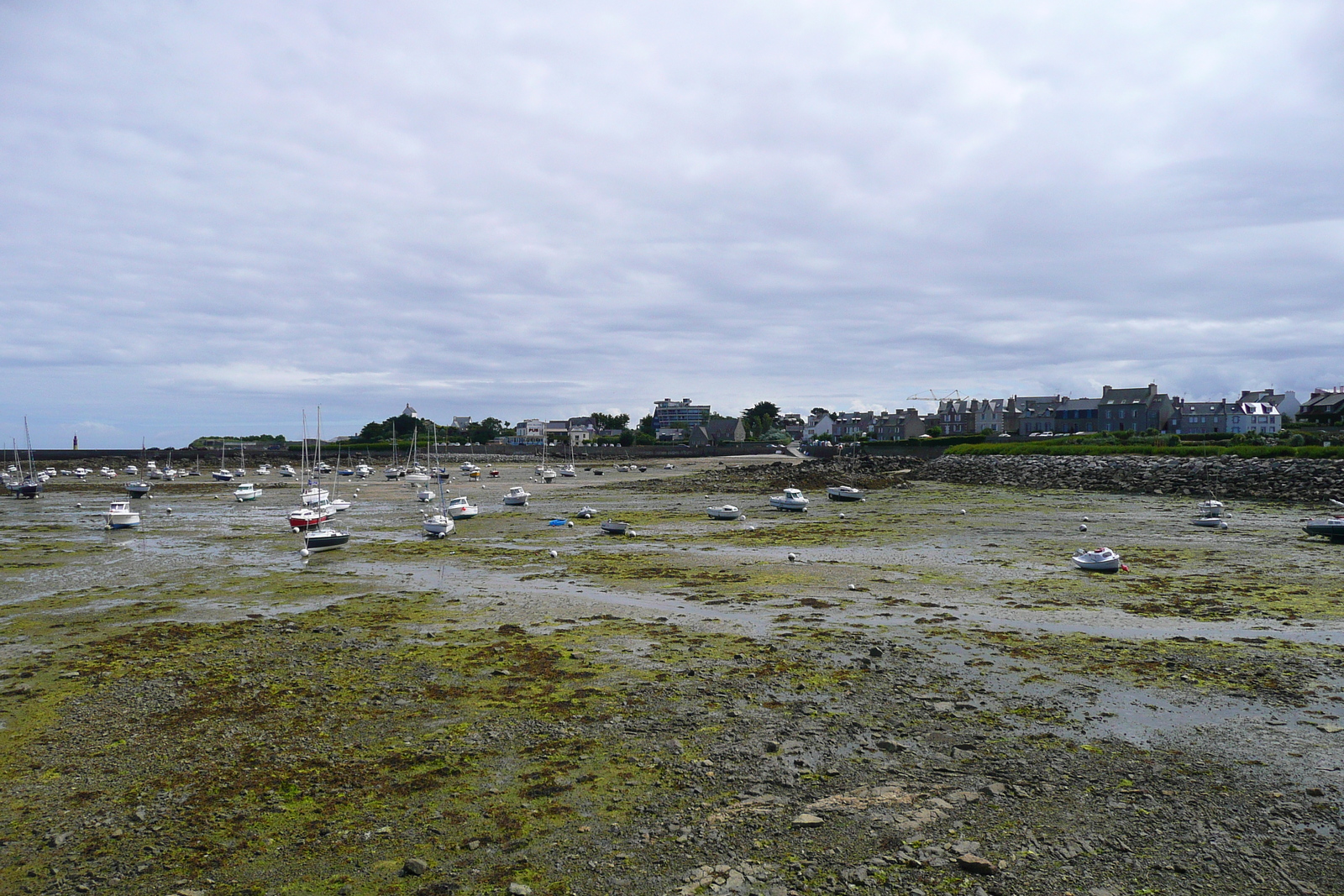 รูปถ่าย ฝรั่งเศส(France) โรสคอฟ(Roscoff) 2007-08 55