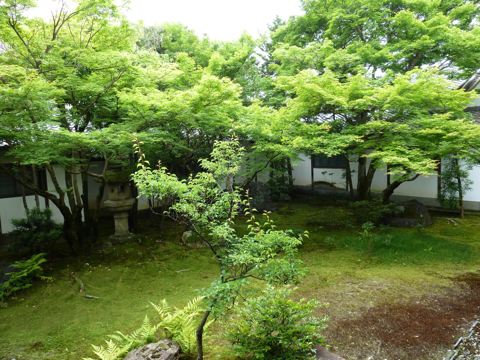 รูปถ่าย ญี่ปุ่น(Japan) เกียวโต(Kyoto) ตำหนักหลวงวัดนินนะจิ(Ninna ji imperial Residence) 2010-06 69