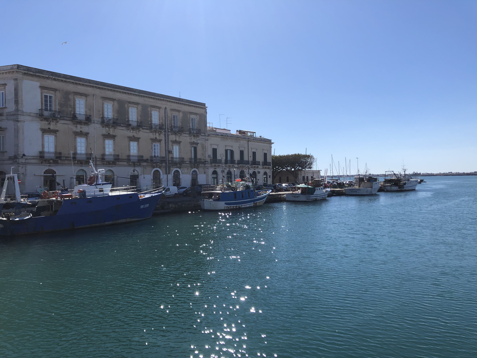 รูปถ่าย อิตาลี(Italy) ซิซิลี(Sicily) ออร์ตีเจีย(Ortigia) 2020-02 118