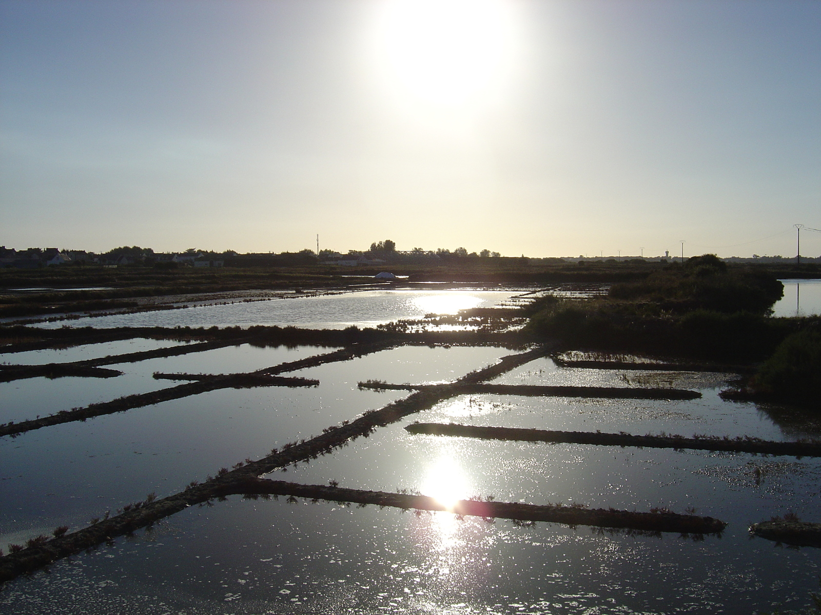 รูปถ่าย ฝรั่งเศส(France) เกรองเดอ(Guerande) 2004-08 14