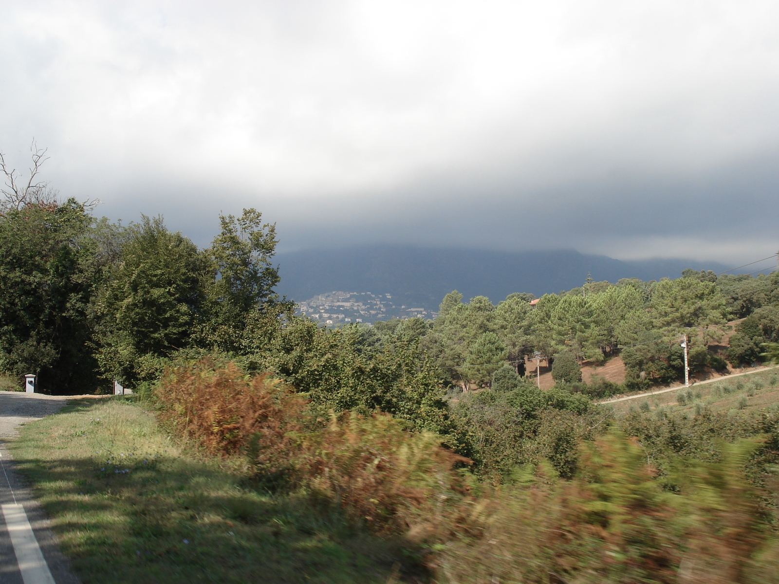 รูปถ่าย ฝรั่งเศส(France) คอร์สิคา(Corsica) เชร์วีออน(Cervione) 2006-09 54