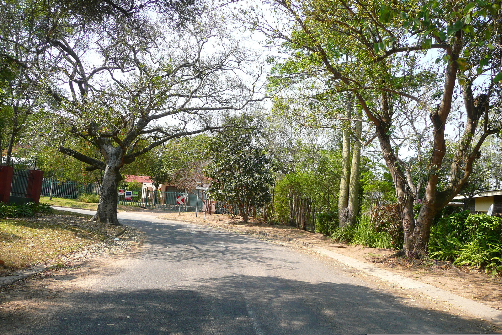 รูปถ่าย แอฟริกาใต้(South Africa) เนลสปรุต(Nelspruit) 2008-09 29