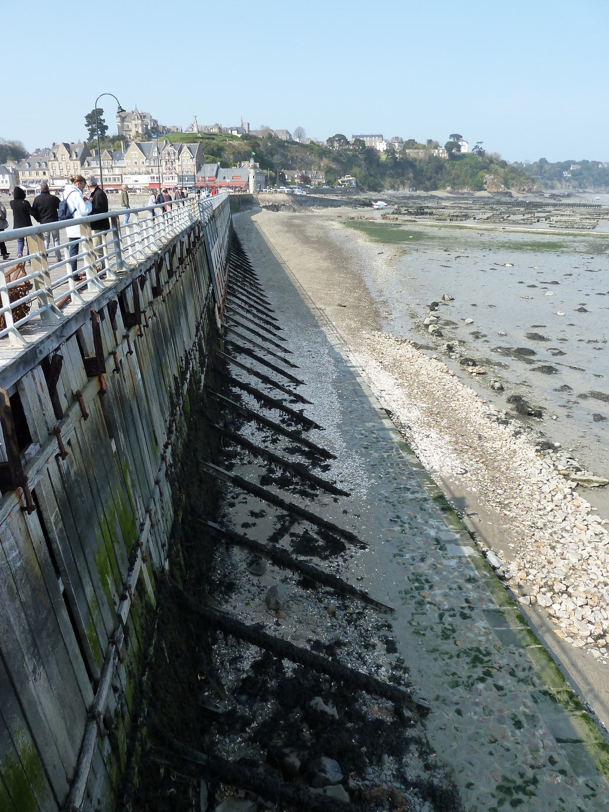 รูปถ่าย ฝรั่งเศส(France) ก็องกาล(Cancale) 2010-04 3