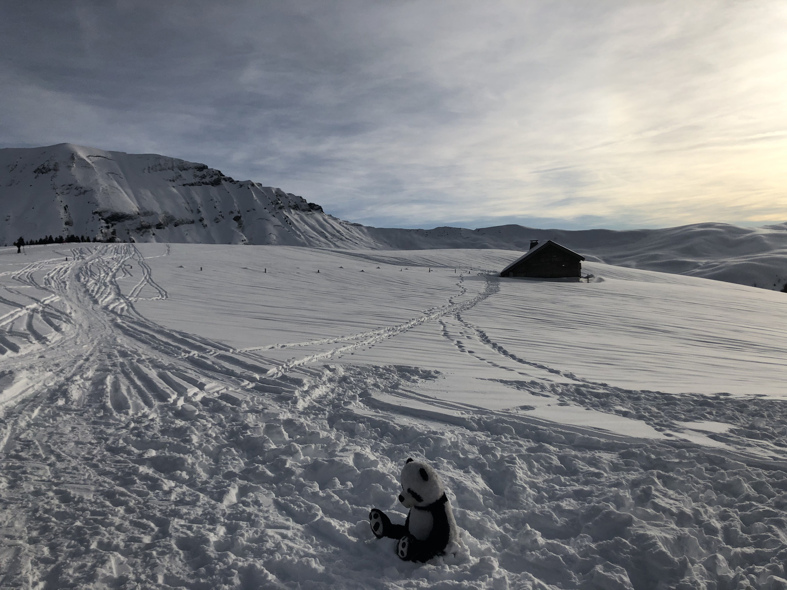 รูปถ่าย ฝรั่งเศส(France) ปรา-ซูร์-อาร์ลี(Praz sur Arly) 2019-12 325