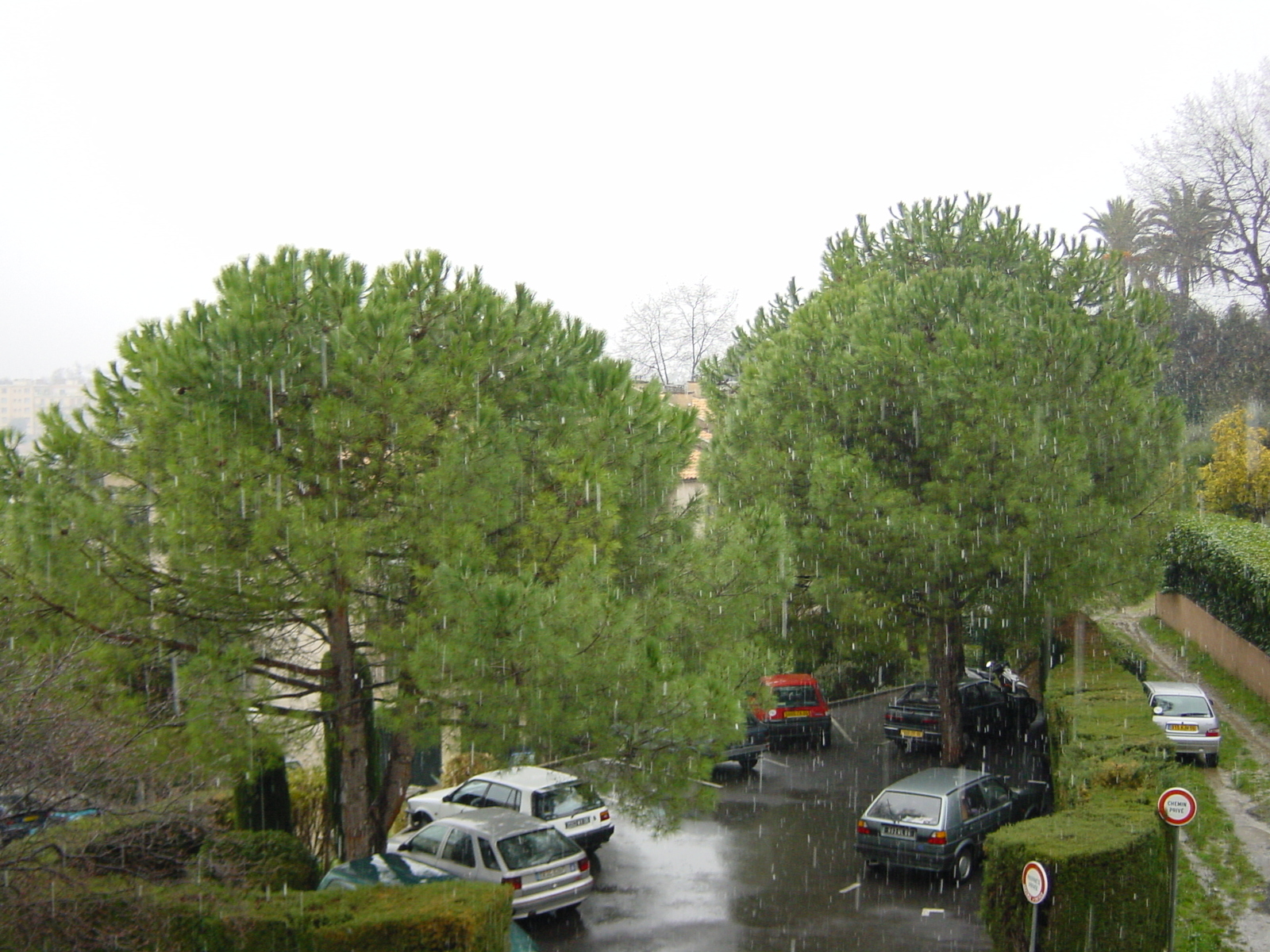 รูปถ่าย ฝรั่งเศส(France) วังซ์(Vence) 2001-02 23
