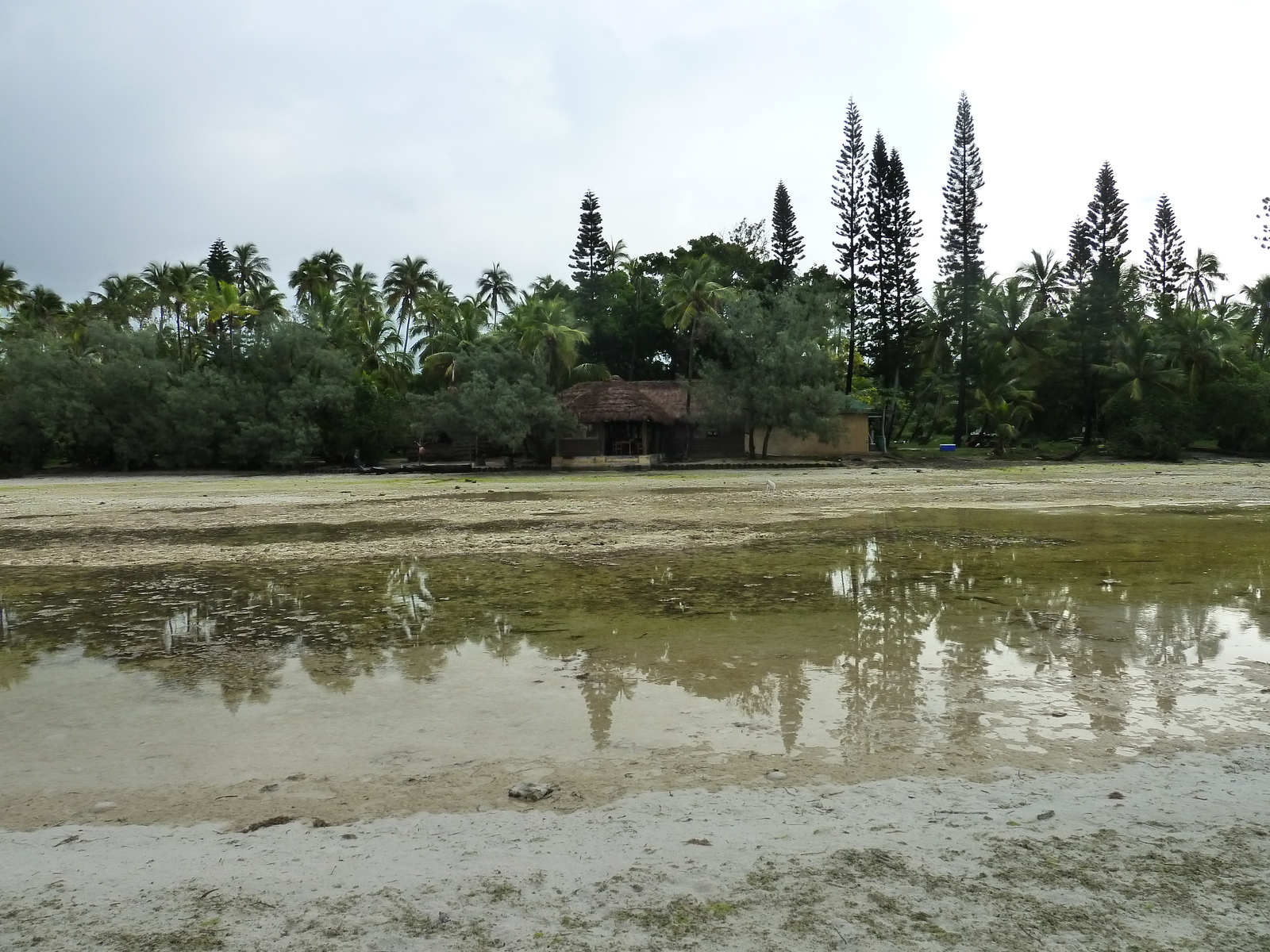 รูปถ่าย นิวแคลิโดเนีย(New Caledonia) เกาะต้นสน(Ile des pins) อ่าวโอโร(Oro Bay) 2010-05 24