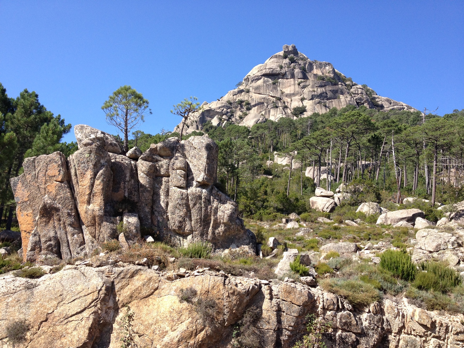 รูปถ่าย ฝรั่งเศส(France) คอร์สิคา(Corsica) ป่าลอสเปดาเล(L'ospedale Forest) 2012-09 43