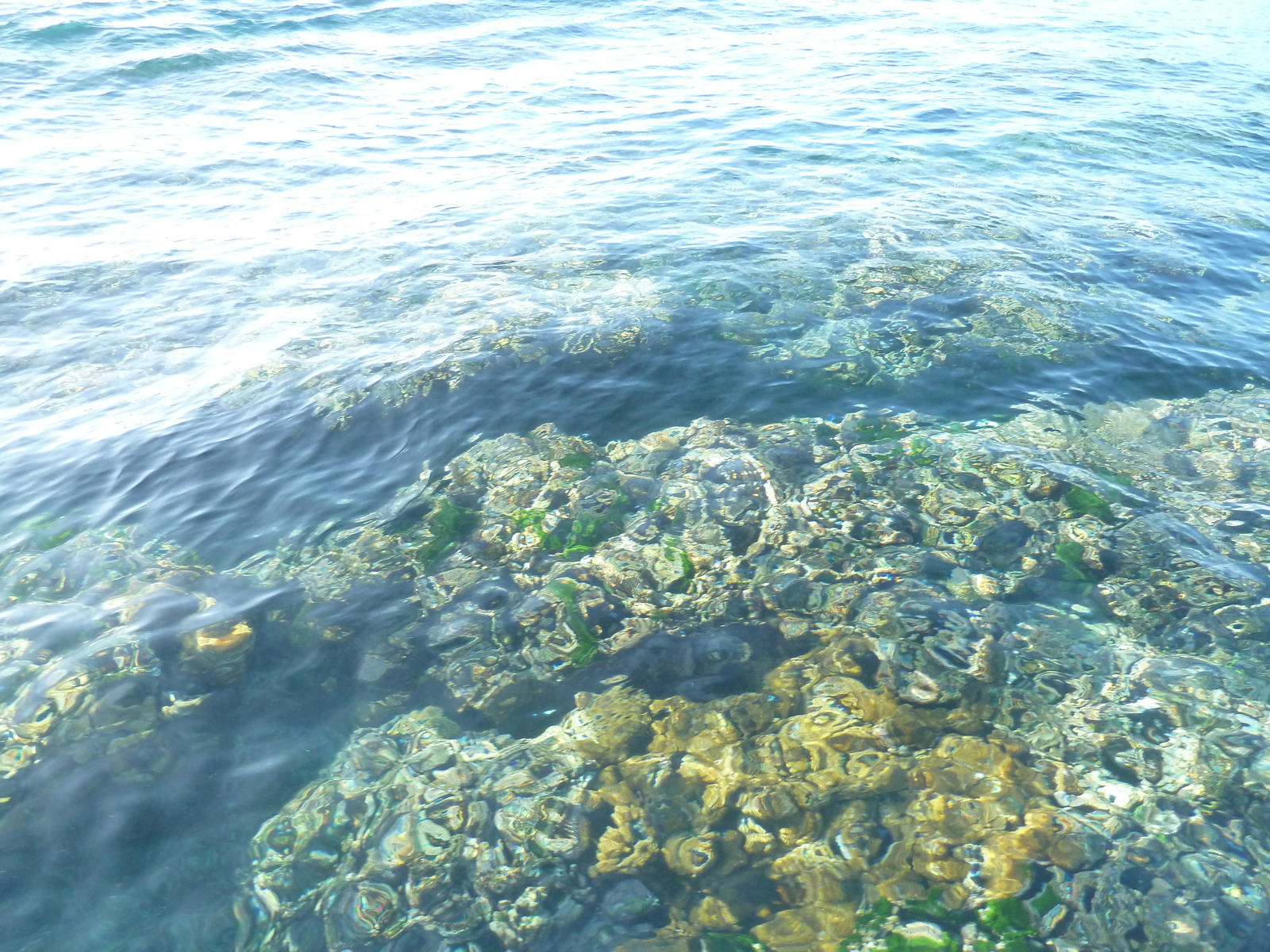 รูปถ่าย ฟิจิ(Fiji) เกาะแคสต์อะเวย์(Castaway Island) 2010-05 170