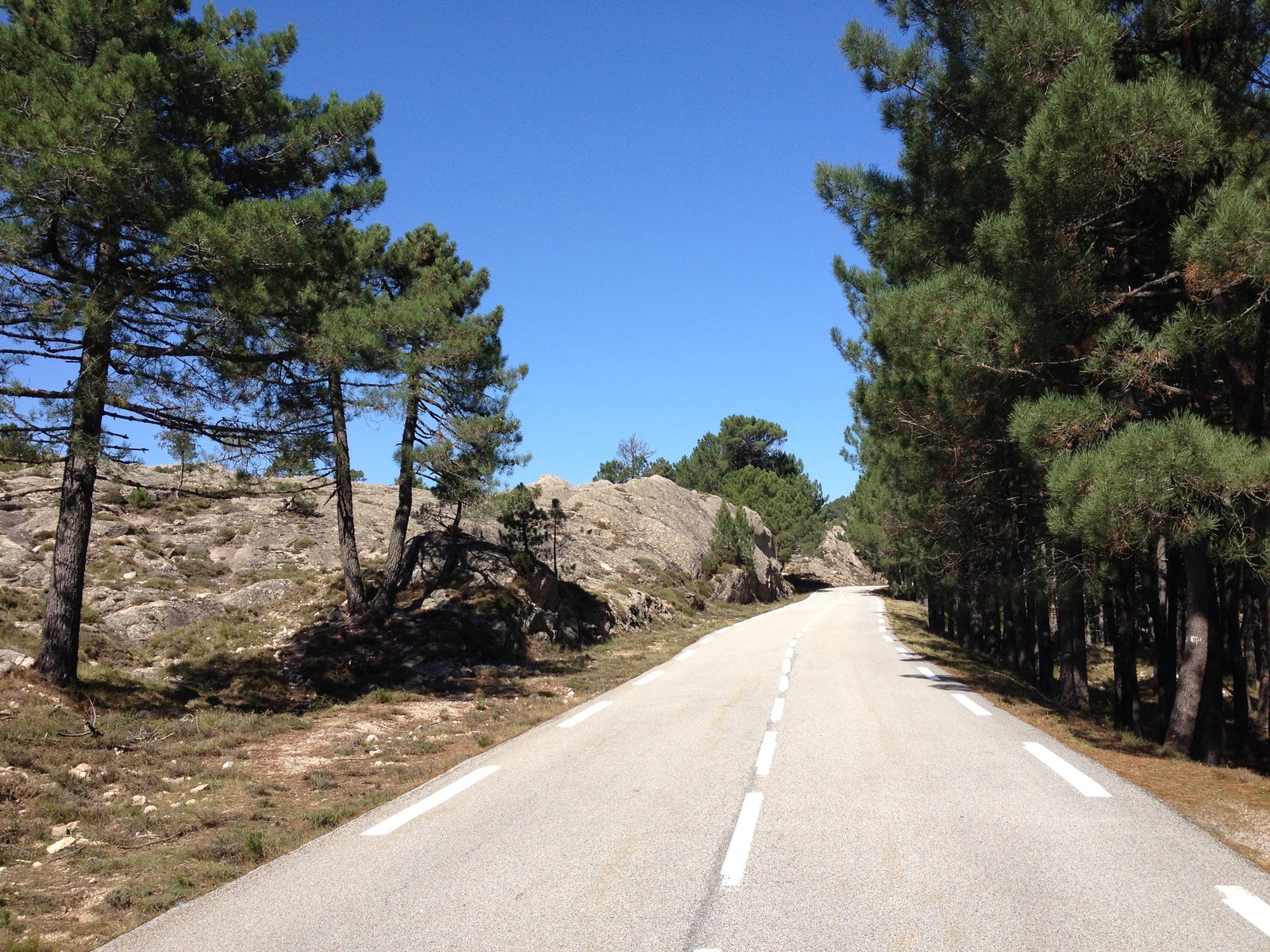 รูปถ่าย ฝรั่งเศส(France) คอร์สิคา(Corsica) ป่าลอสเปดาเล(L'ospedale Forest) 2012-09 36