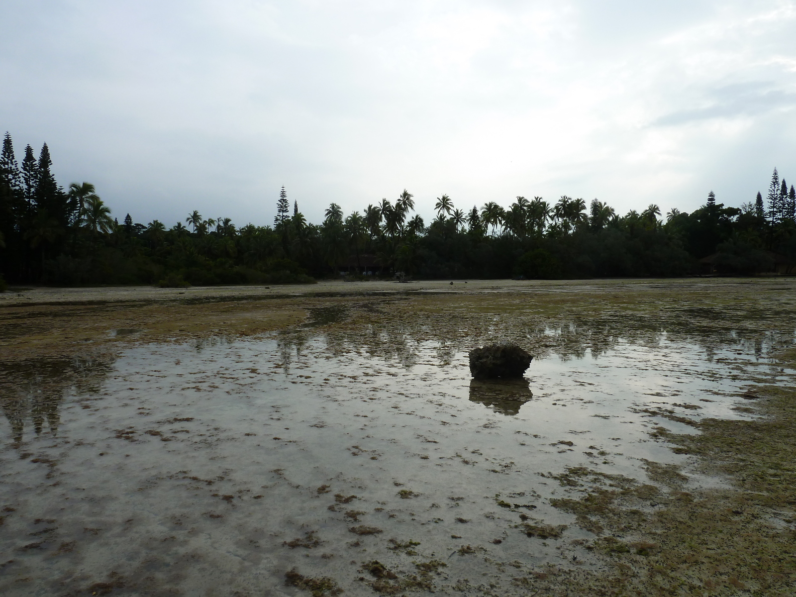 รูปถ่าย นิวแคลิโดเนีย(New Caledonia) เกาะต้นสน(Ile des pins) อ่าวโอโร(Oro Bay) 2010-05 12