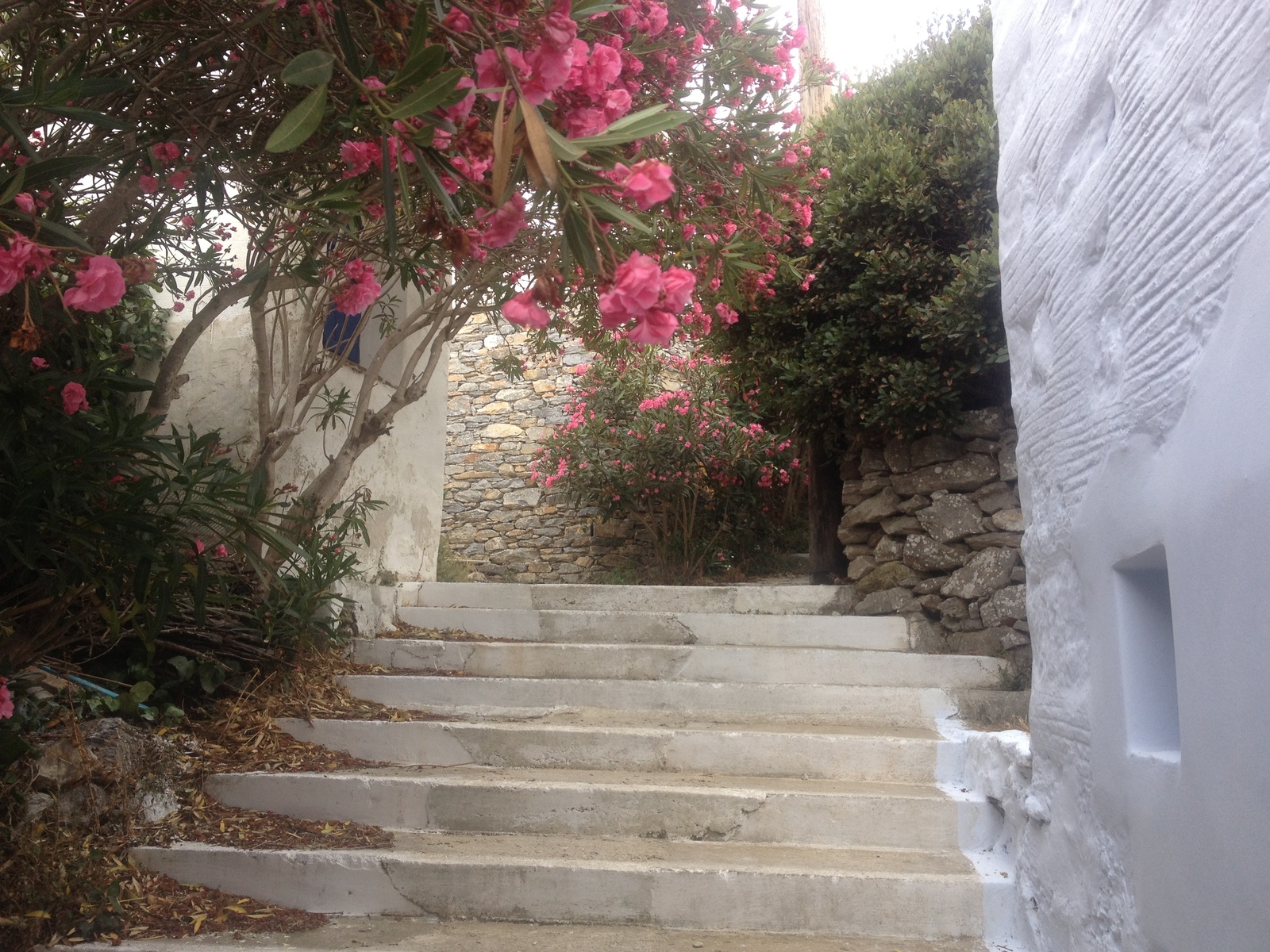 รูปถ่าย กรีก(Greece) เกาะอามอร์กอส(Amorgos) 2014-07 406