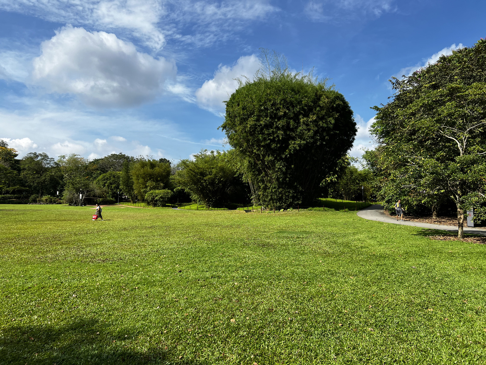 รูปถ่าย สิงคโปร์(Singapore) สวนพฤกษศาสตร์สิงคโปร์(Singapore Botanic Gardens) 2023-01 106