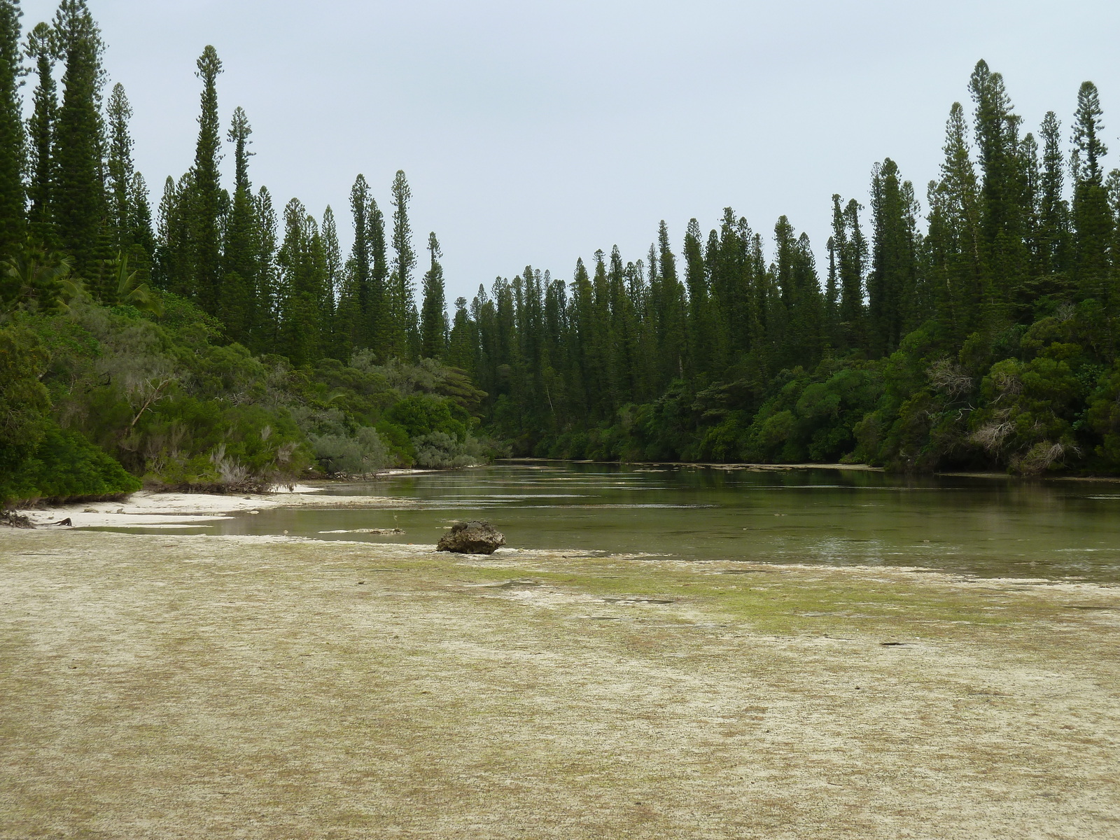 รูปถ่าย นิวแคลิโดเนีย(New Caledonia) เกาะต้นสน(Ile des pins) อ่าวโอโร(Oro Bay) 2010-05 102