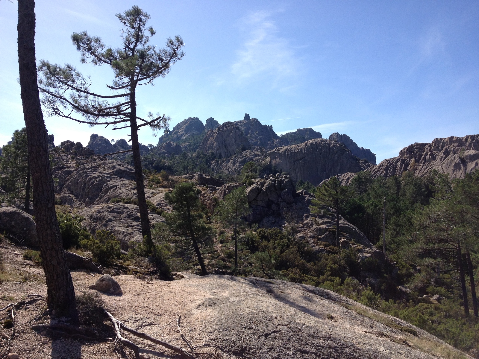 รูปถ่าย ฝรั่งเศส(France) คอร์สิคา(Corsica) ป่าลอสเปดาเล(L'ospedale Forest) 2012-09 16