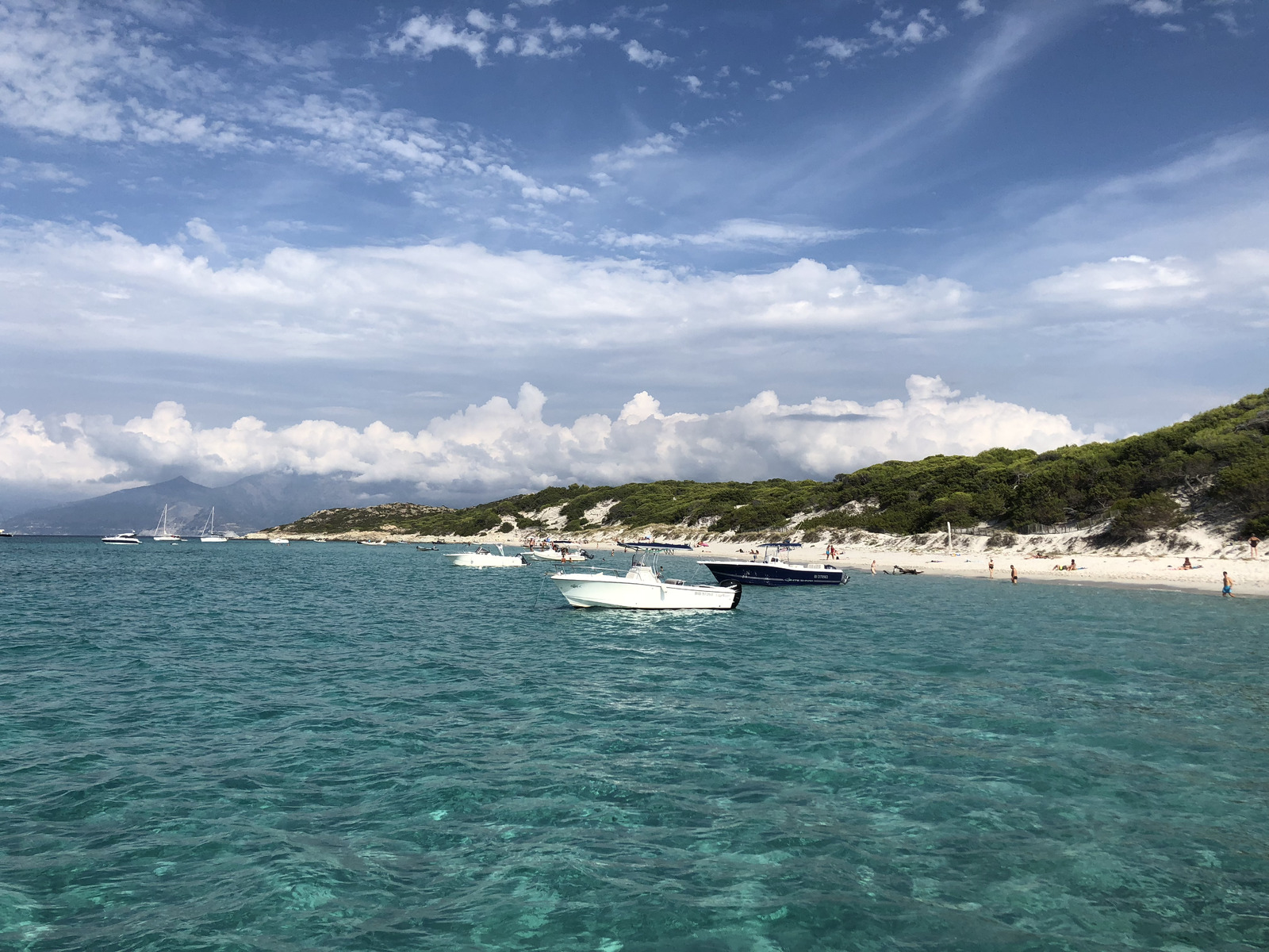 รูปถ่าย ฝรั่งเศส(France) คอร์สิคา(Corsica) หาดซาเลชชา(Saleccia Beach) 2018-09 6