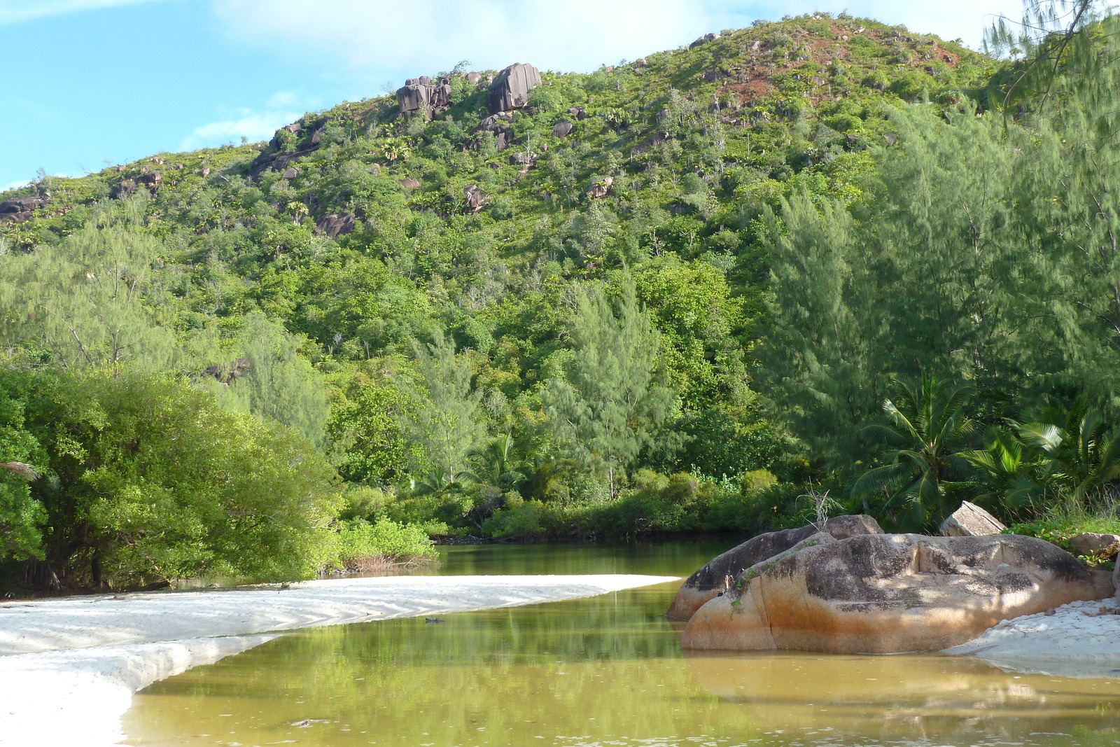 รูปถ่าย เซเชลส์(Seychelles) อ่าวอ็องส์ลาซิโอ(Anse Lazio) 2011-10 131