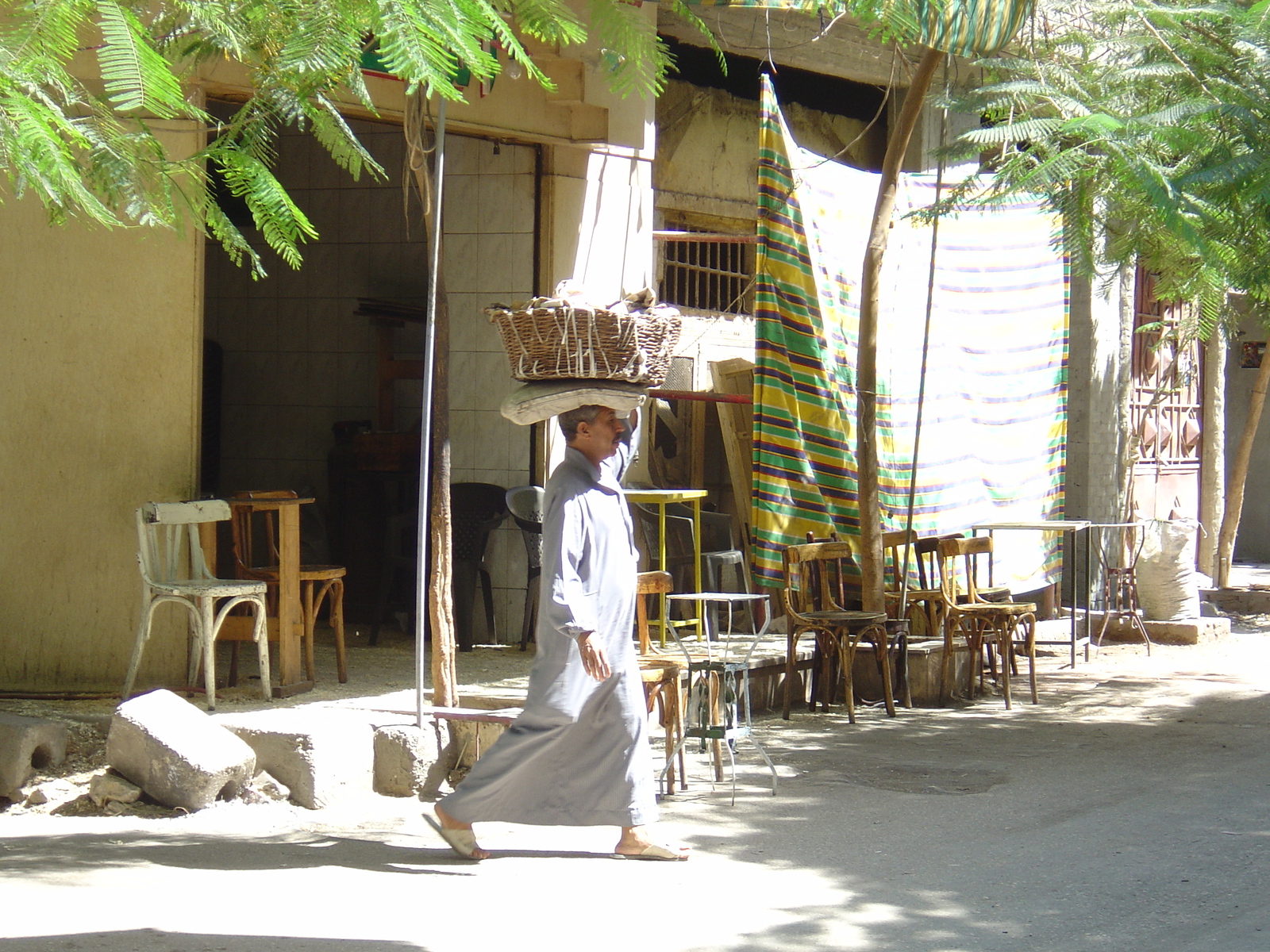 รูปถ่าย อียิปต์(Egypt) ไคโร(Cairo) 2004-09 19
