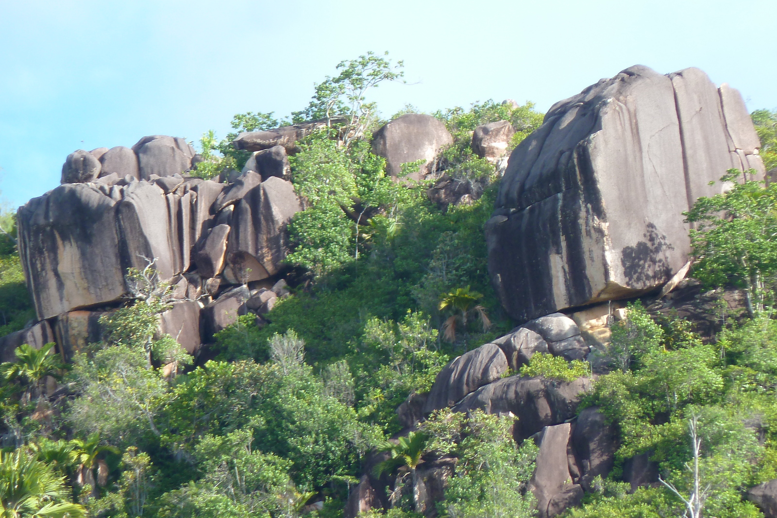 รูปถ่าย เซเชลส์(Seychelles) อ่าวอ็องส์ลาซิโอ(Anse Lazio) 2011-10 116