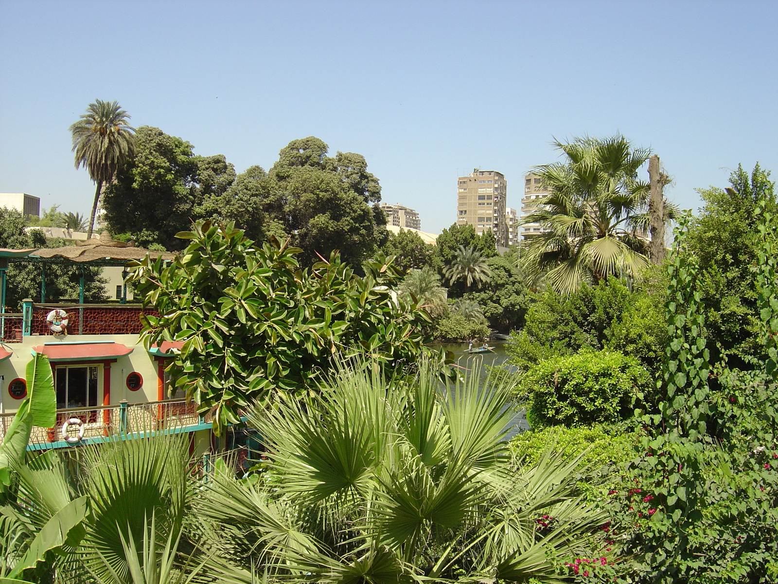 รูปถ่าย อียิปต์(Egypt) ไคโร(Cairo) 2004-09 29