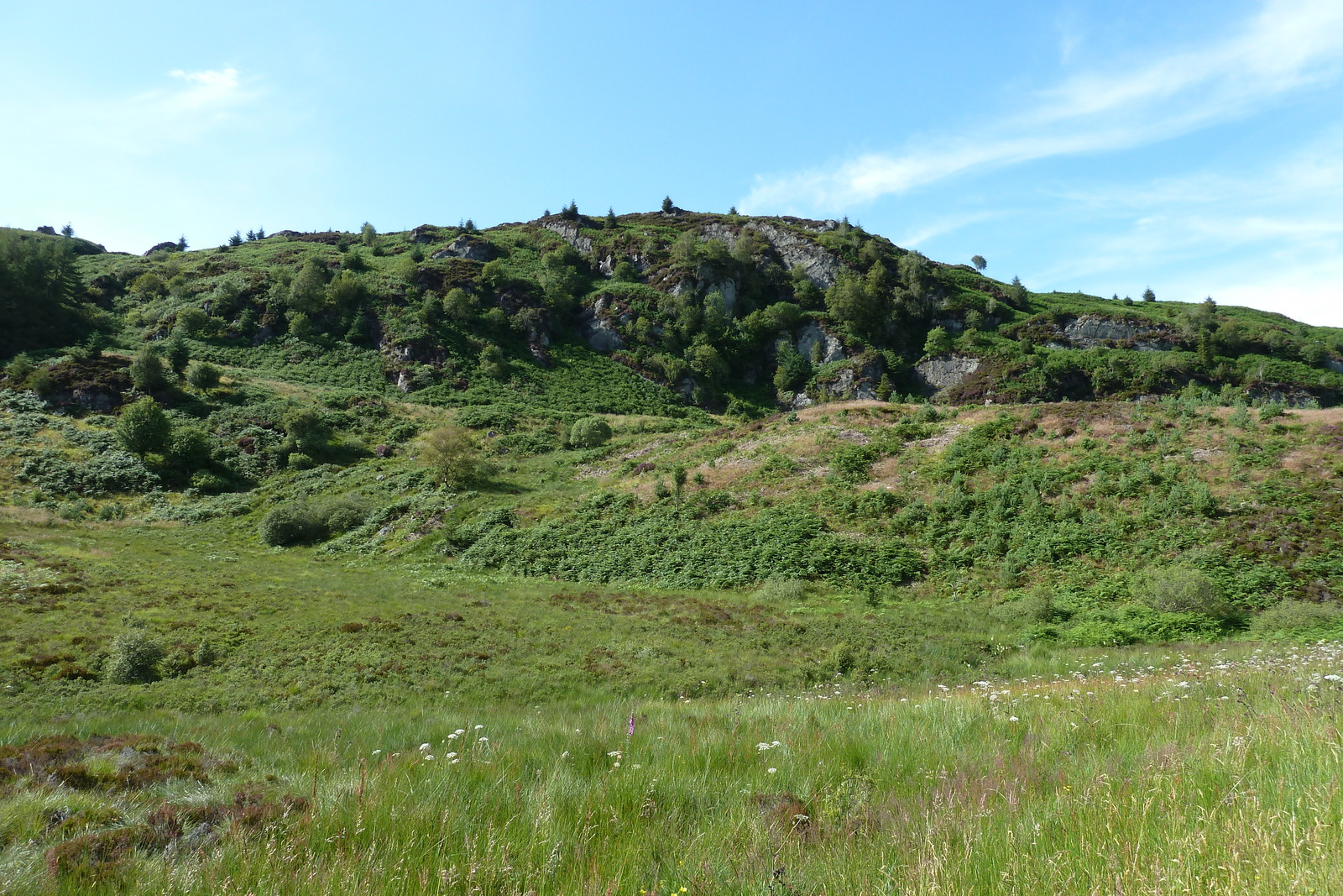 รูปถ่าย อังกฤษ(United Kingdom) ทรอสซักส์(The Trossachs) 2011-07 10