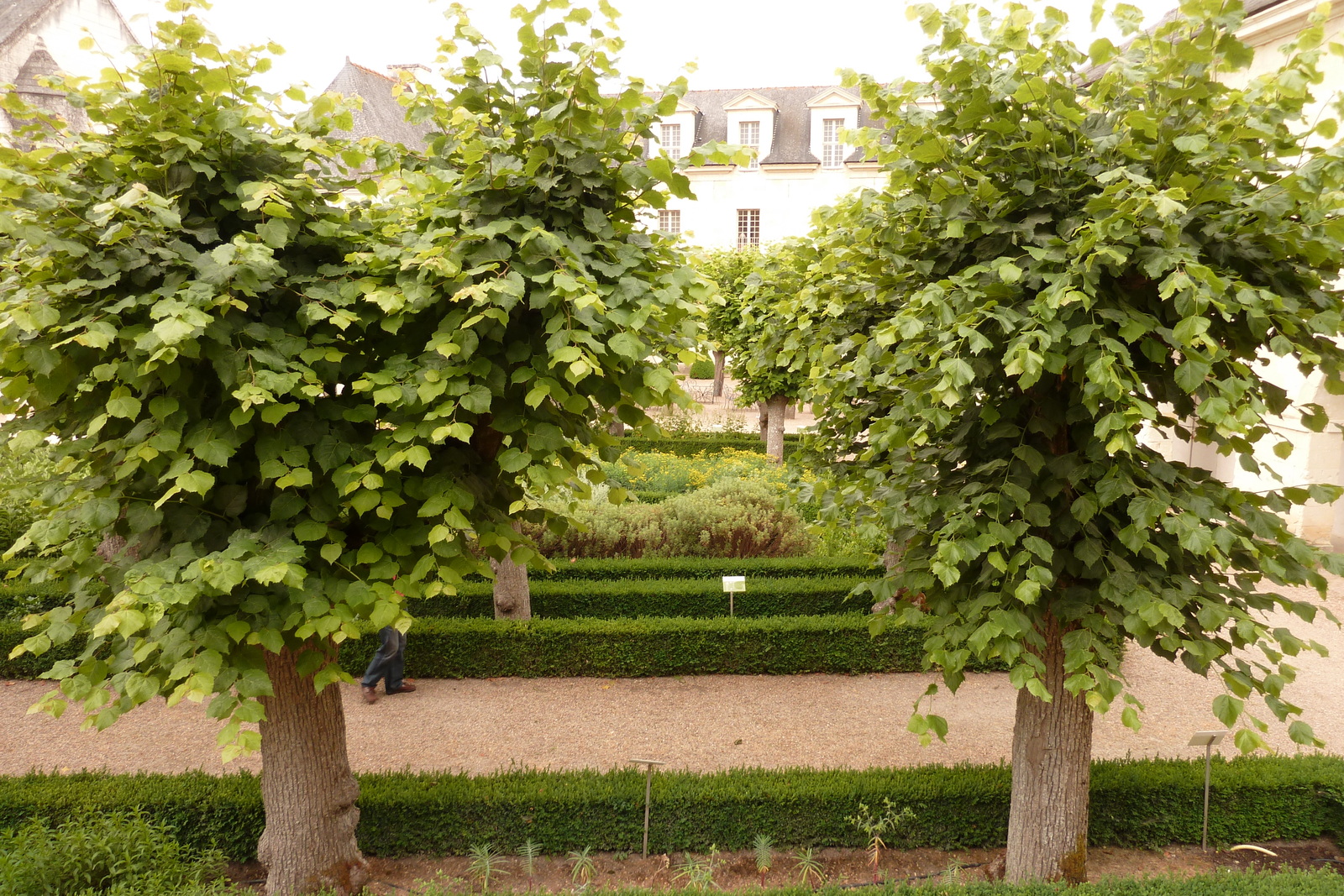 รูปถ่าย ฝรั่งเศส(France) ฟงเตอโวร์(Fontevraud) 2011-05 176