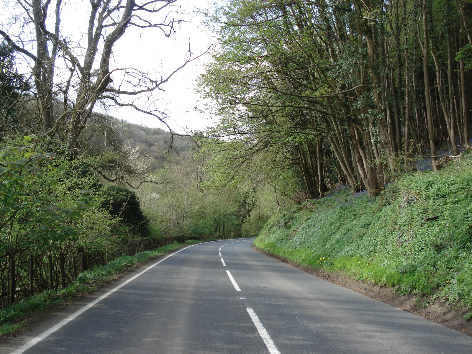 รูปถ่าย อังกฤษ(United Kingdom) หุบเขาไวย์(Wye Valley) 2006-05 24