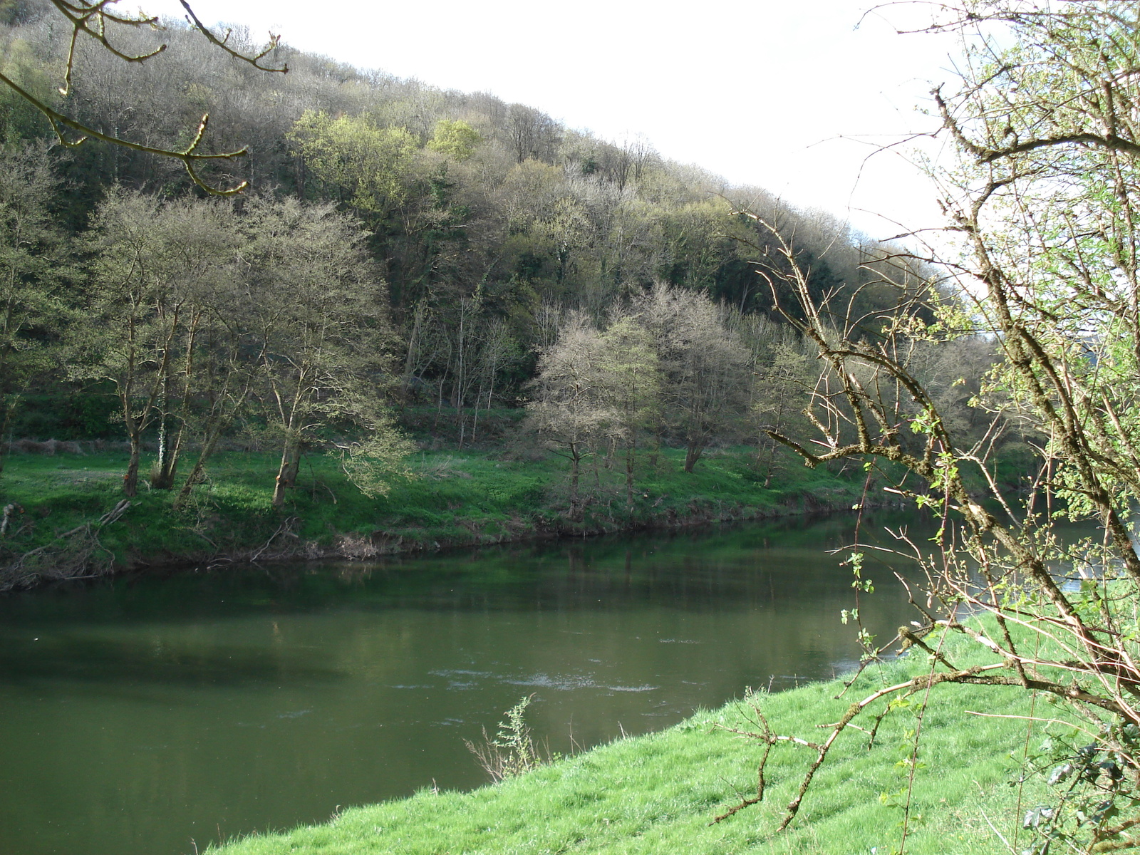 รูปถ่าย อังกฤษ(United Kingdom) หุบเขาไวย์(Wye Valley) 2006-05 38