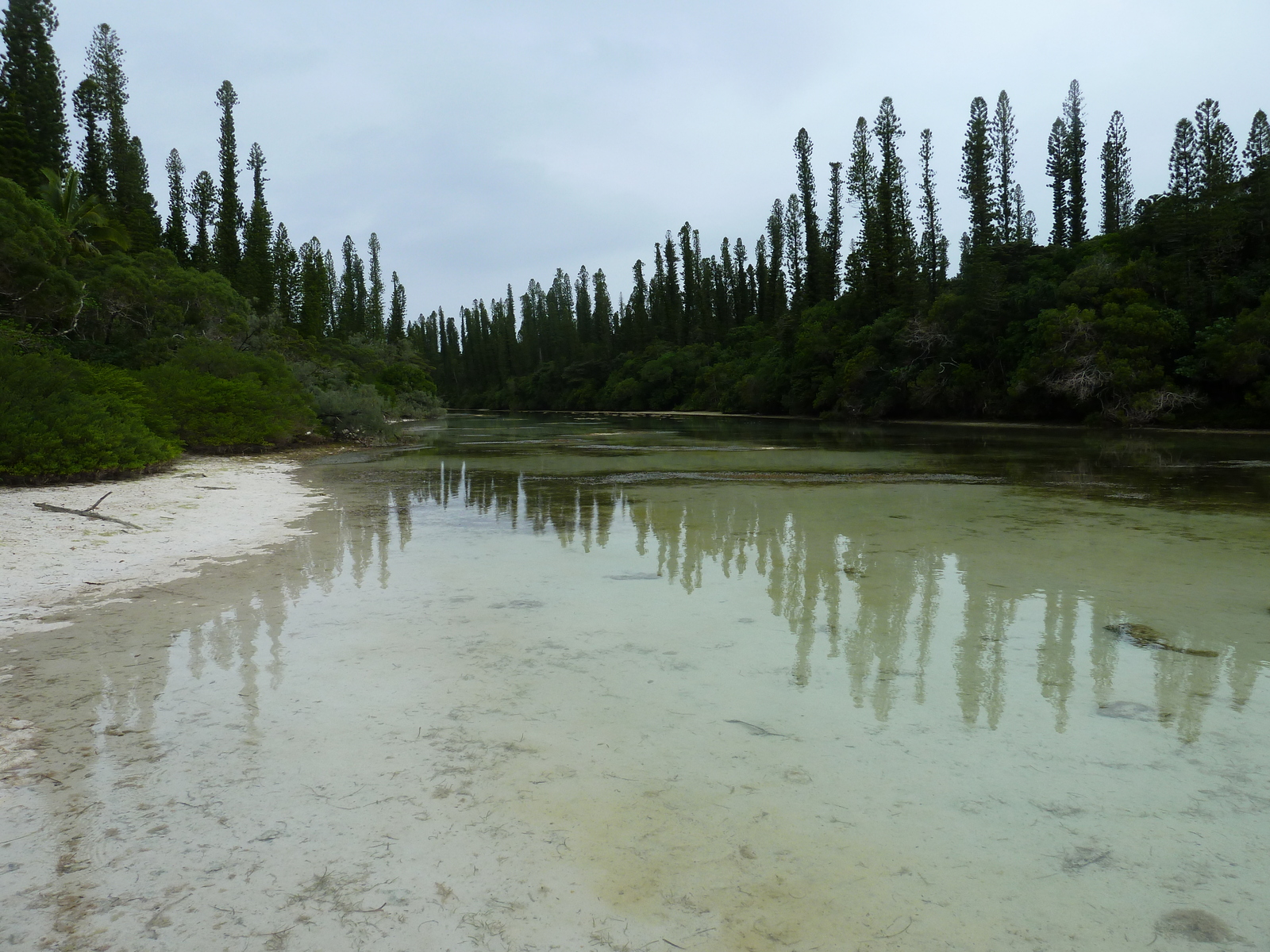 รูปถ่าย นิวแคลิโดเนีย(New Caledonia) เกาะต้นสน(Ile des pins) อ่าวโอโร(Oro Bay) 2010-05 2