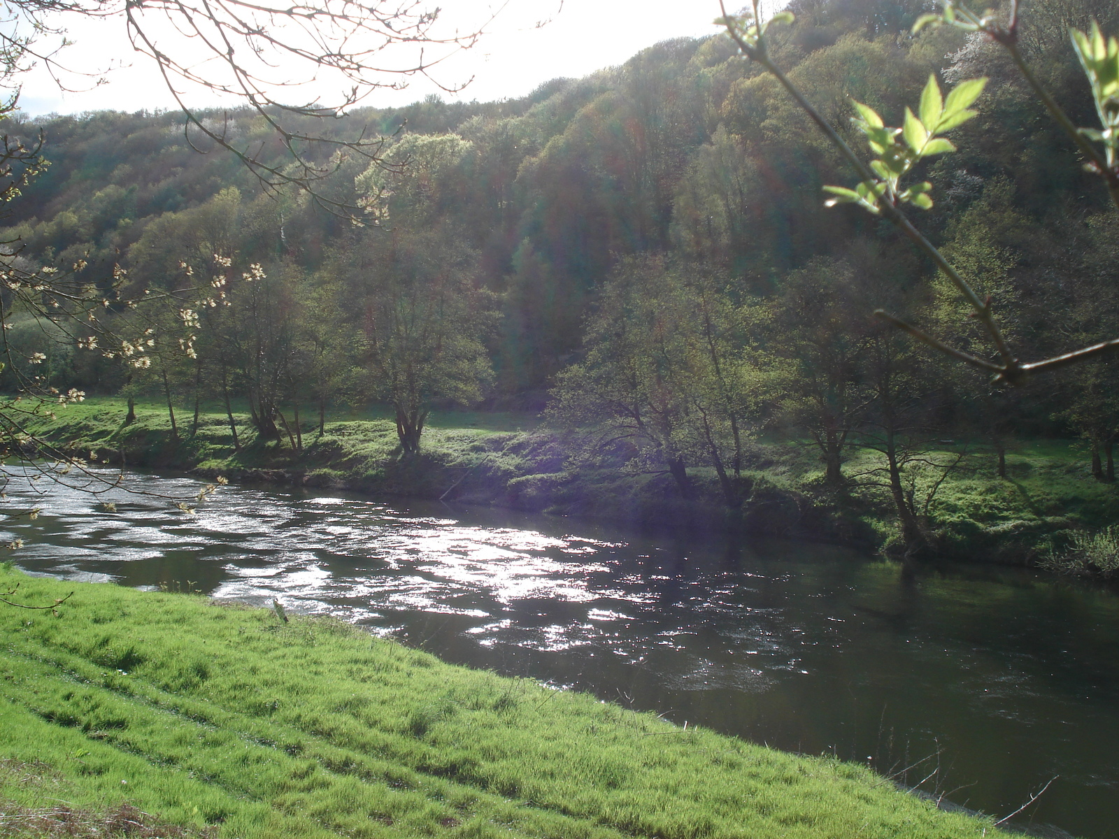 รูปถ่าย อังกฤษ(United Kingdom) หุบเขาไวย์(Wye Valley) 2006-05 39
