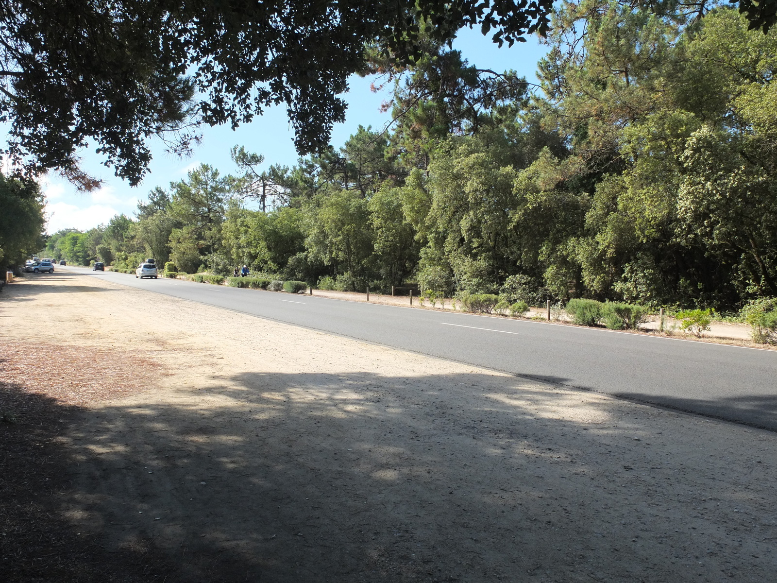รูปถ่าย ฝรั่งเศส(France) แซ็งตีแลร์เดอรีเย(Saint Hilaire de Riez) 2012-07 2